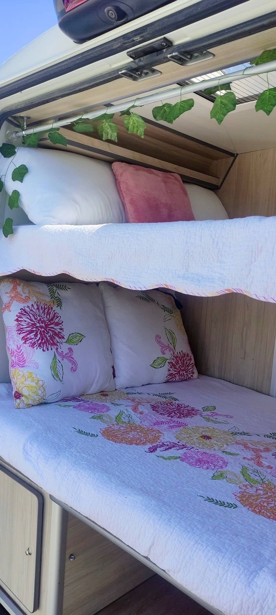 Custo Van Wildcampers