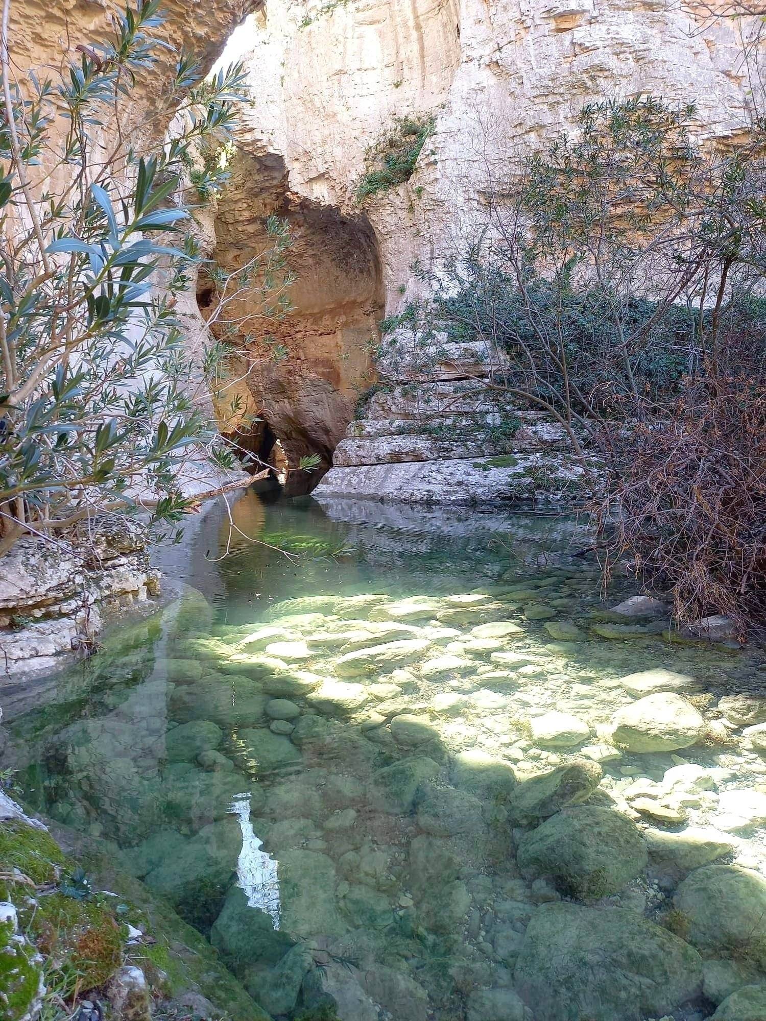 Westfalia T4 California