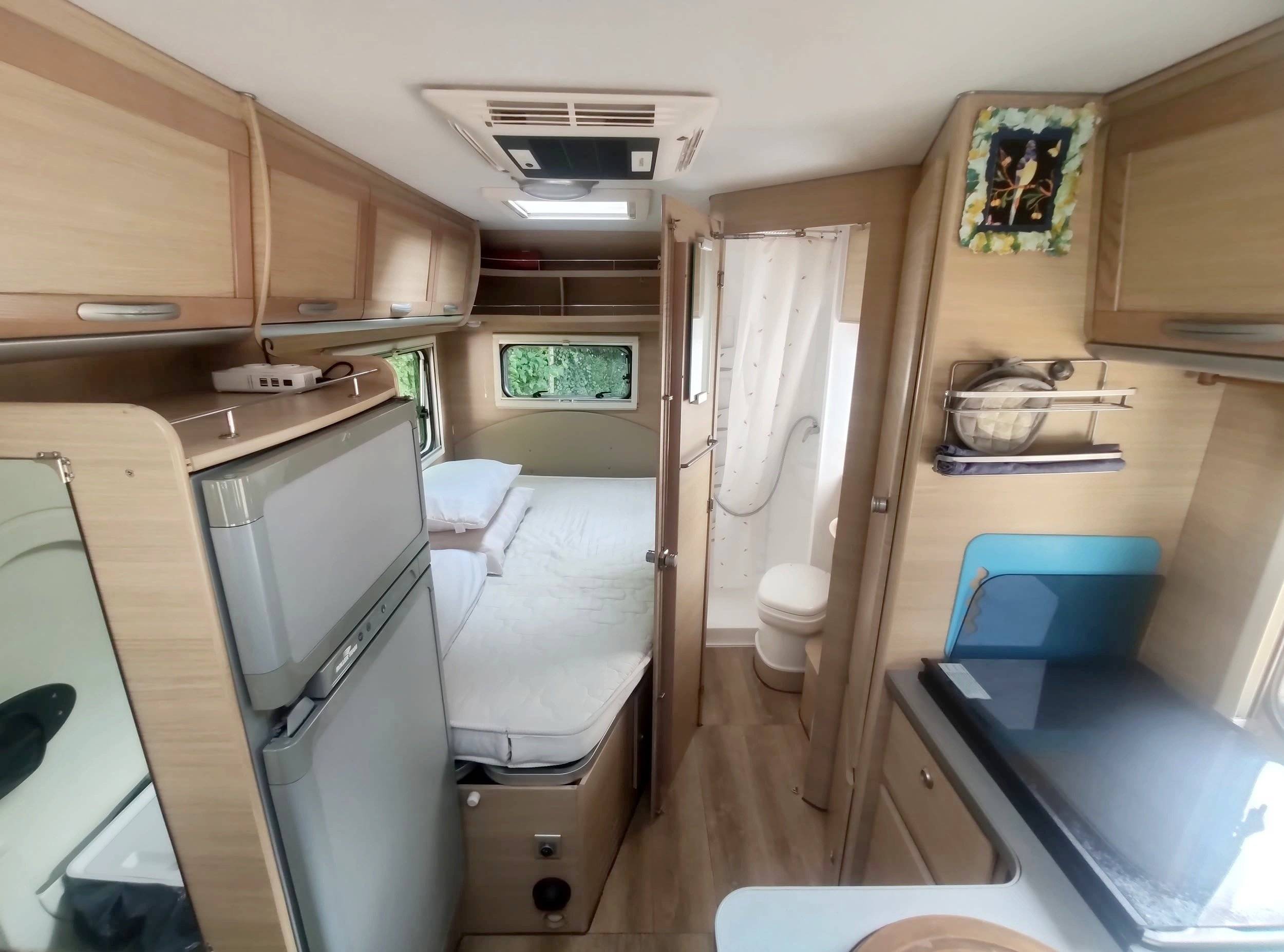 Roller Team Granduca P