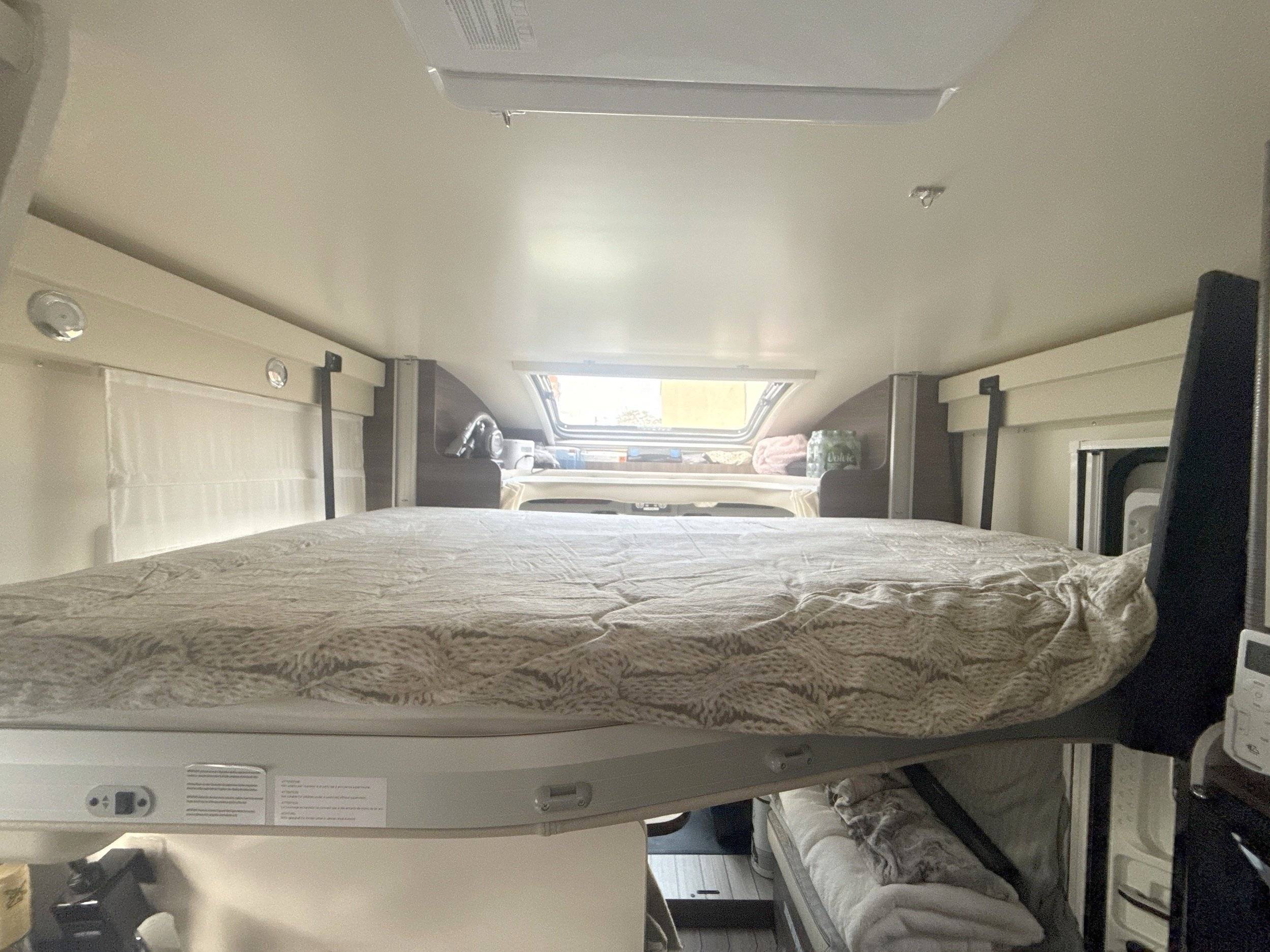 Mclouis Yearling 89G