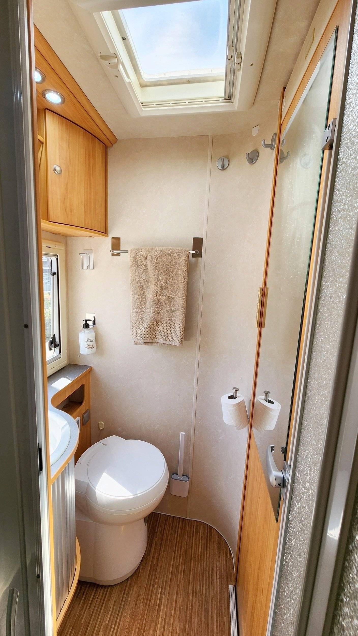 Adria Adria coral   sp660