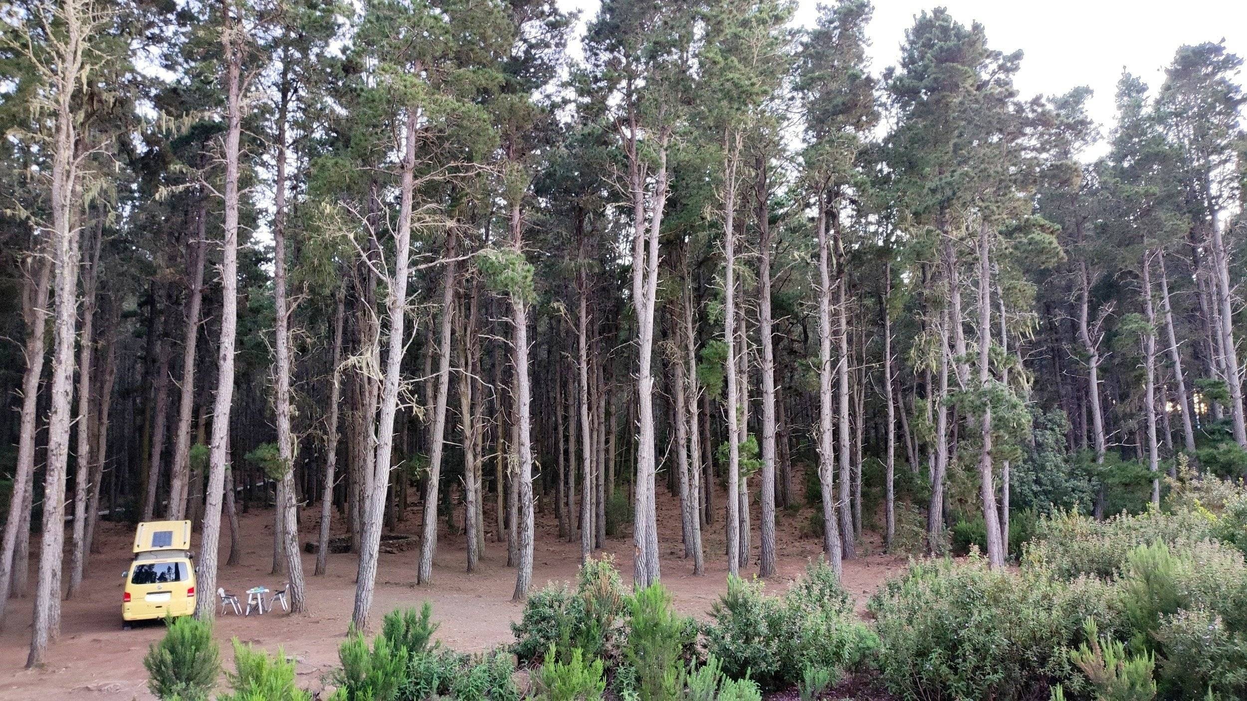 Volkswagen California Beach