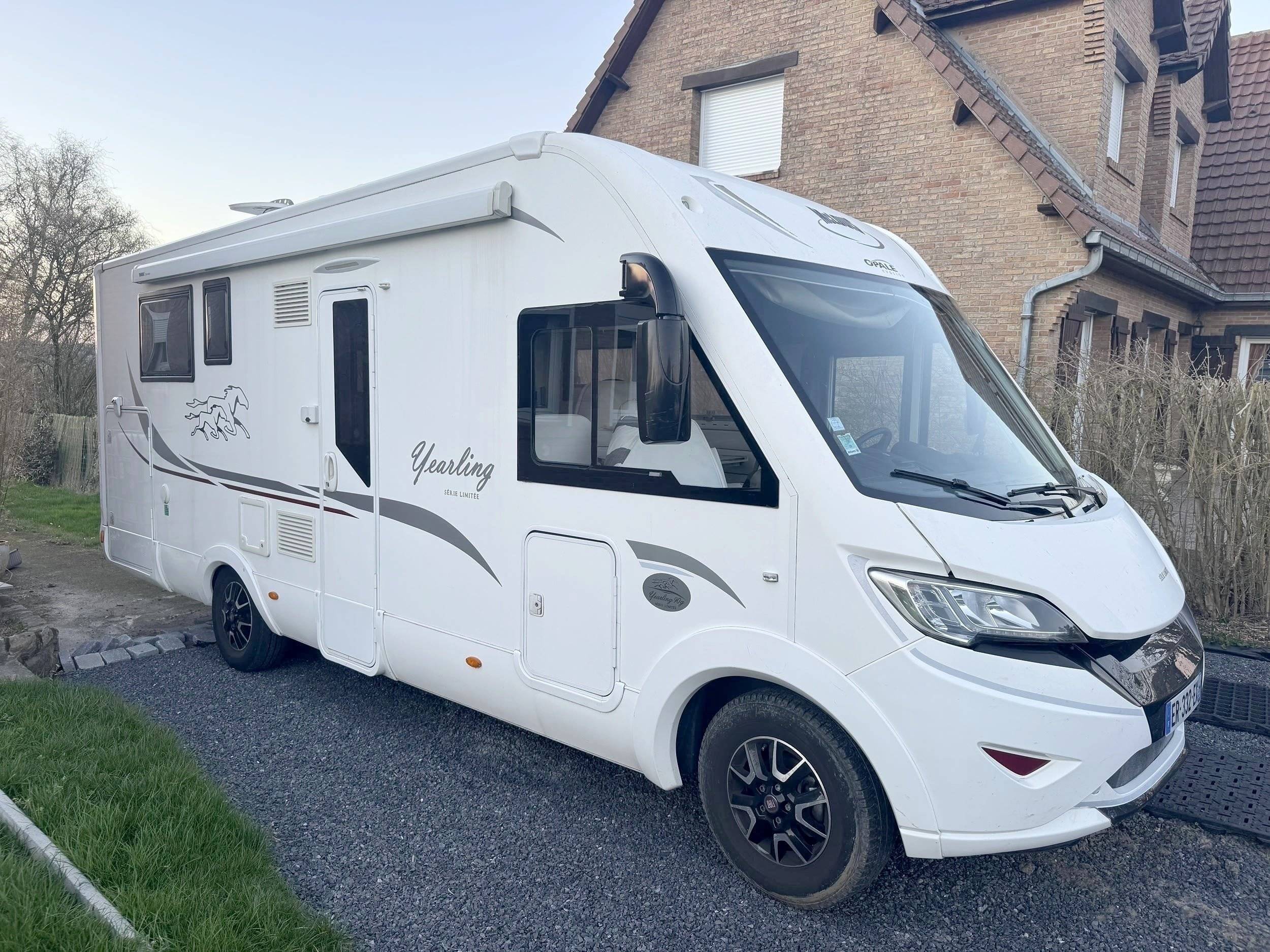 Mclouis 90 G YEARLING