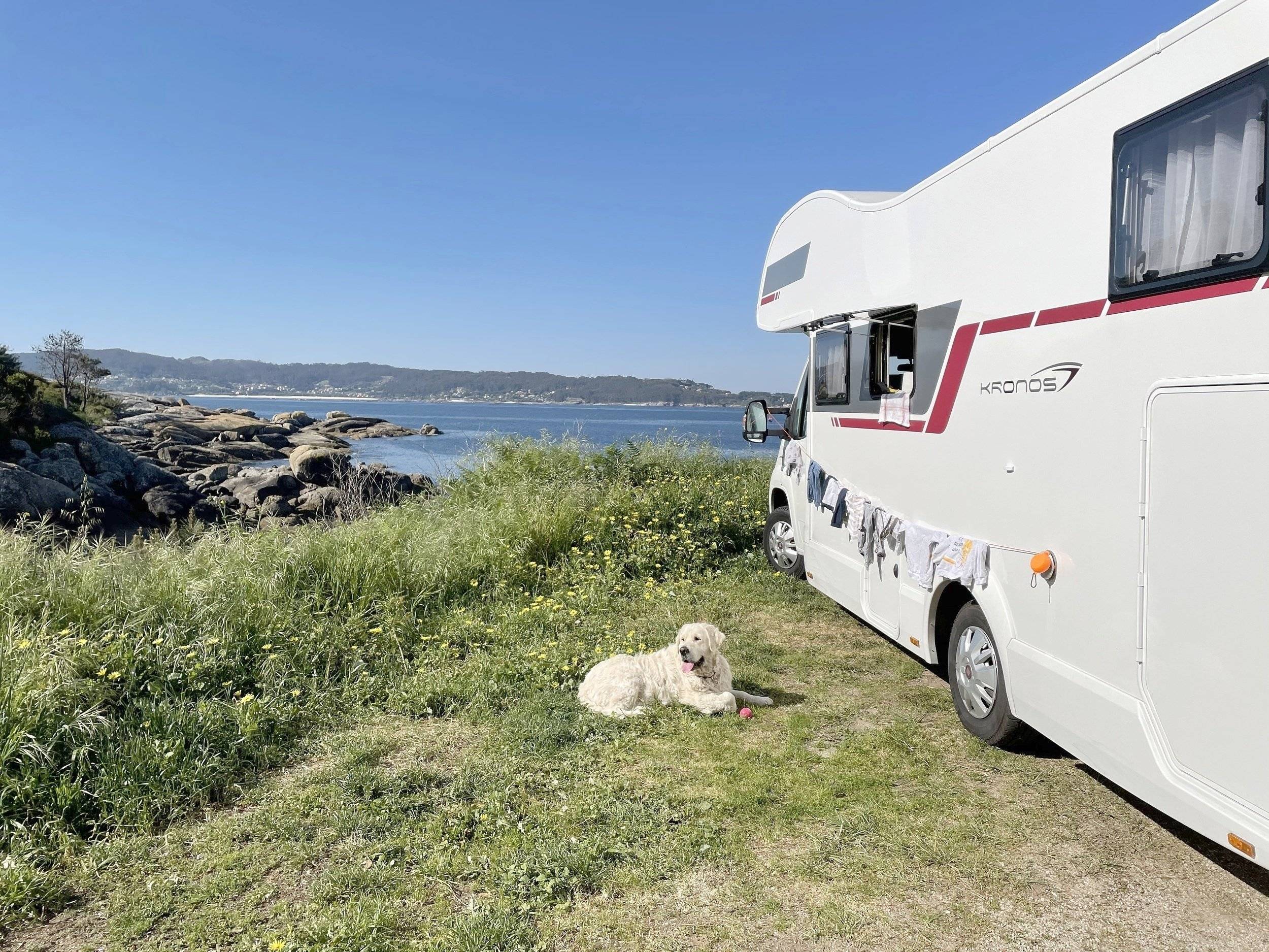 Roller Team Roller Team Kronos 284M