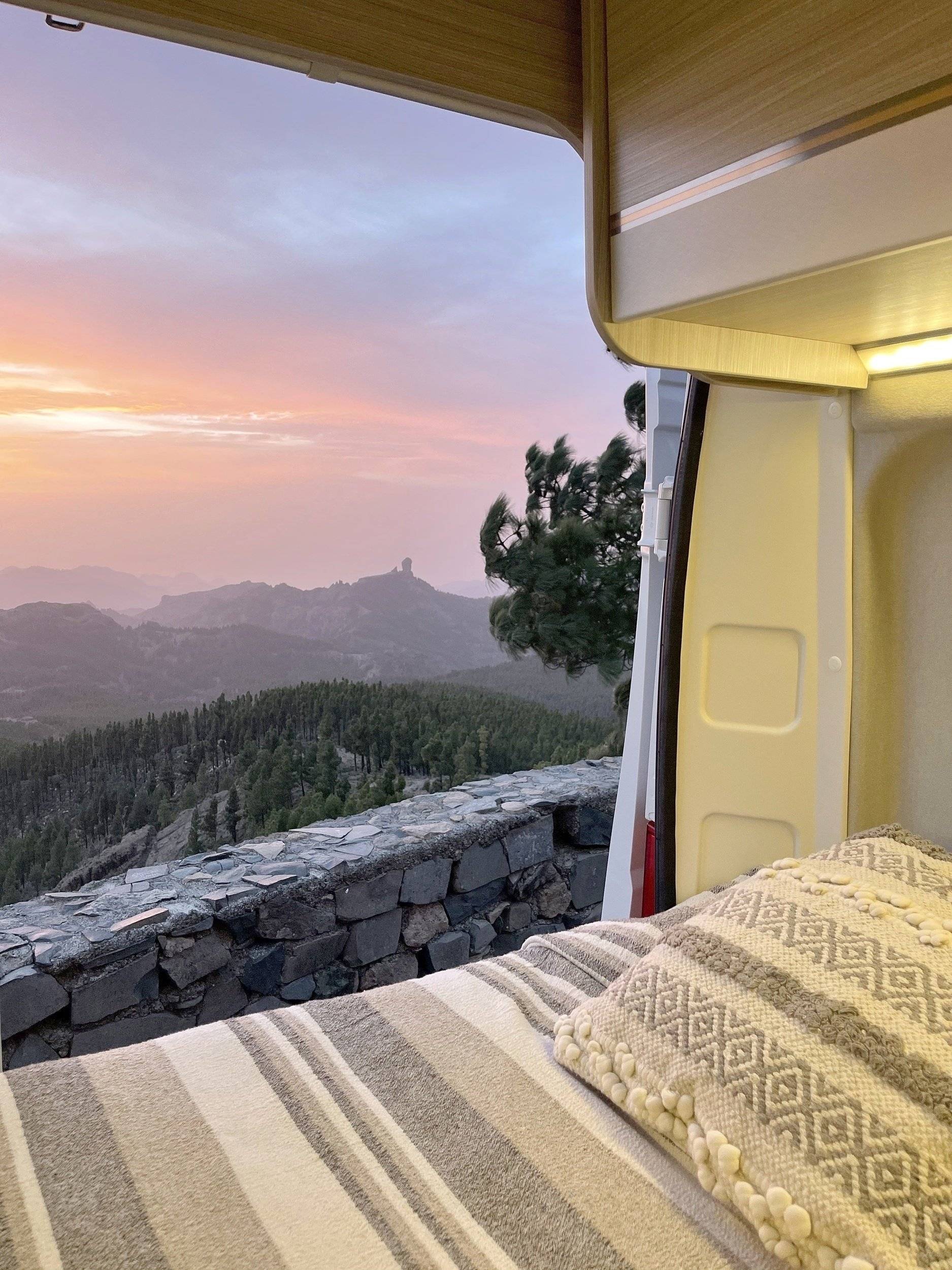 Dreamer Fun D55 Exclusive