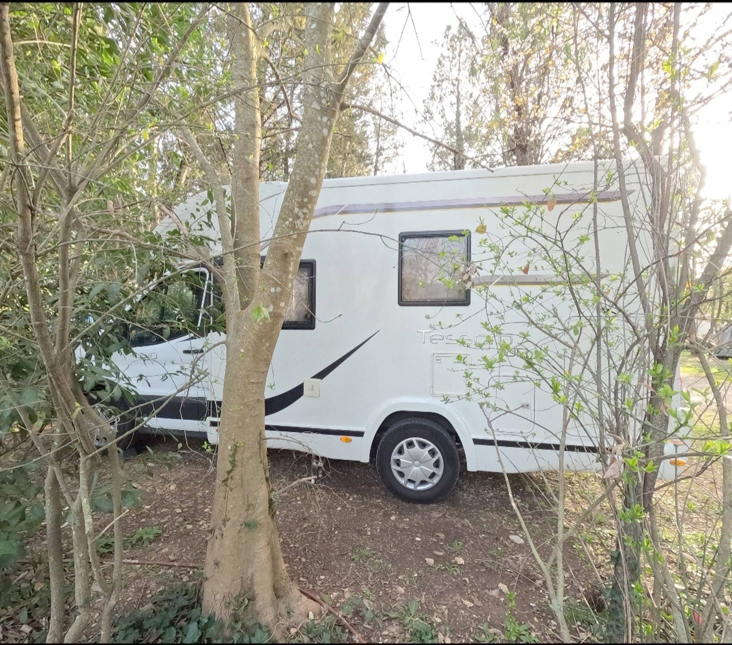 Benimar Tessoro 440 up