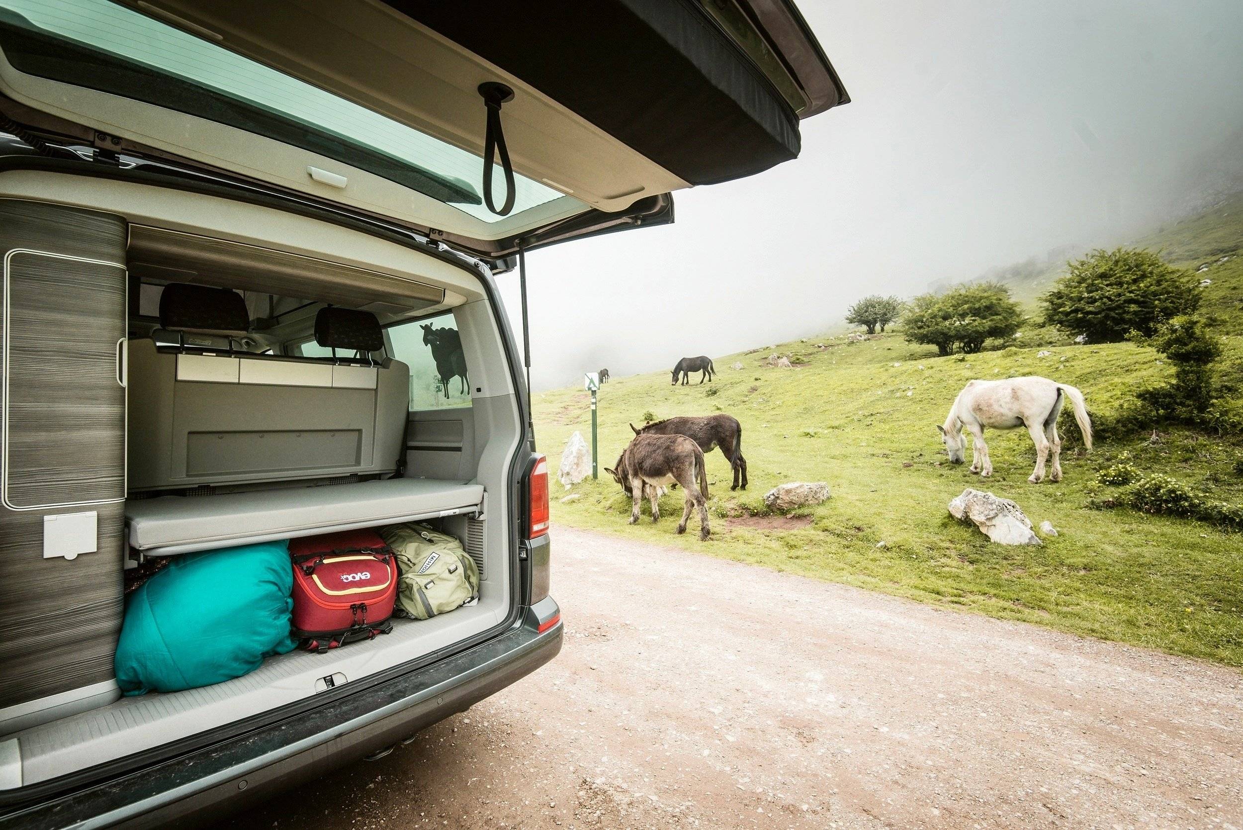 Volkswagen Transporter California T6.1 l 150 ch