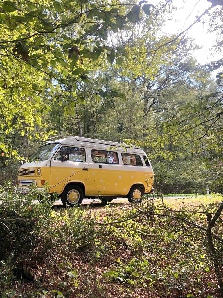T3 Fibi VW T3 Bulli