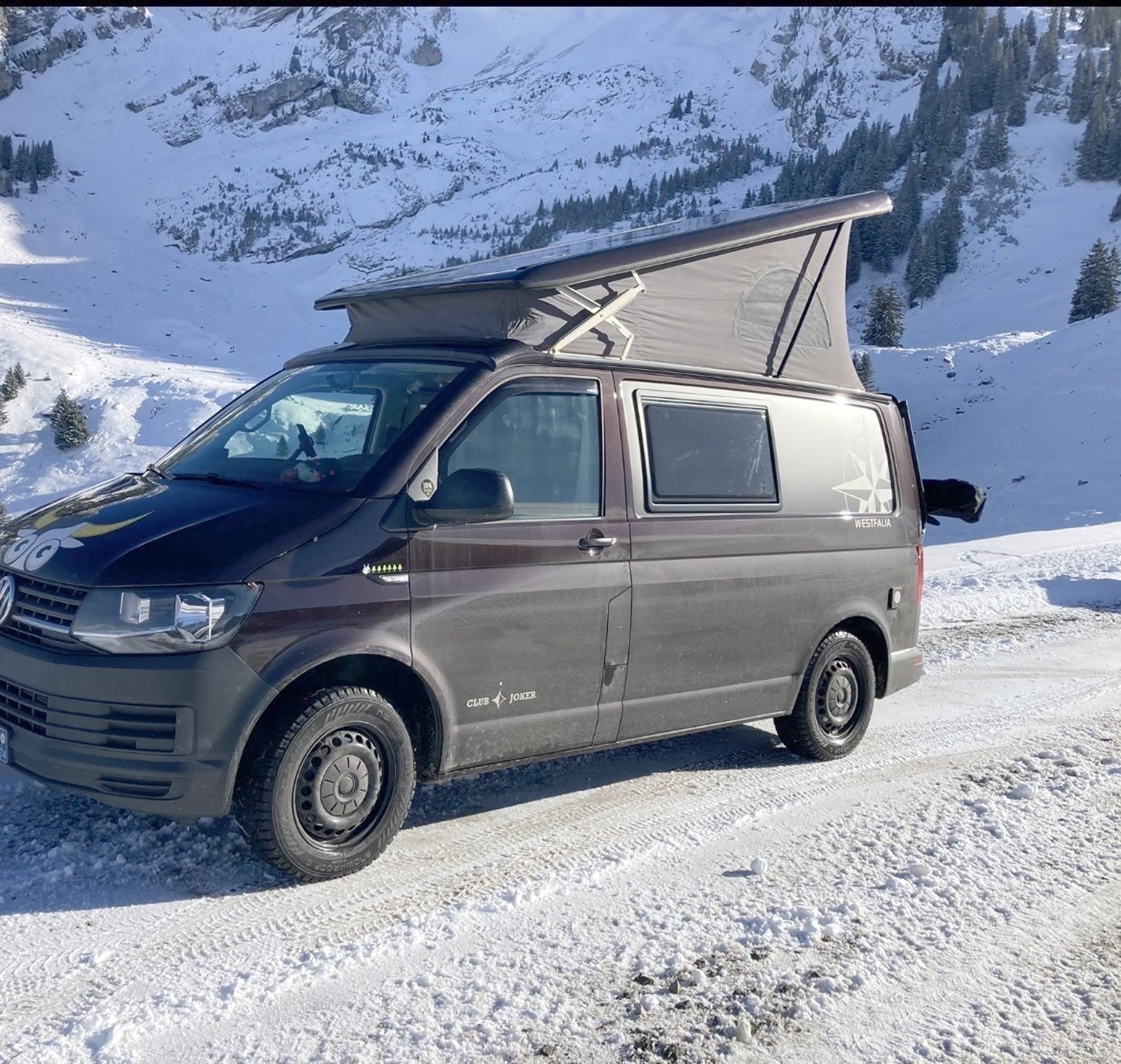 Westfalia Club Joker City