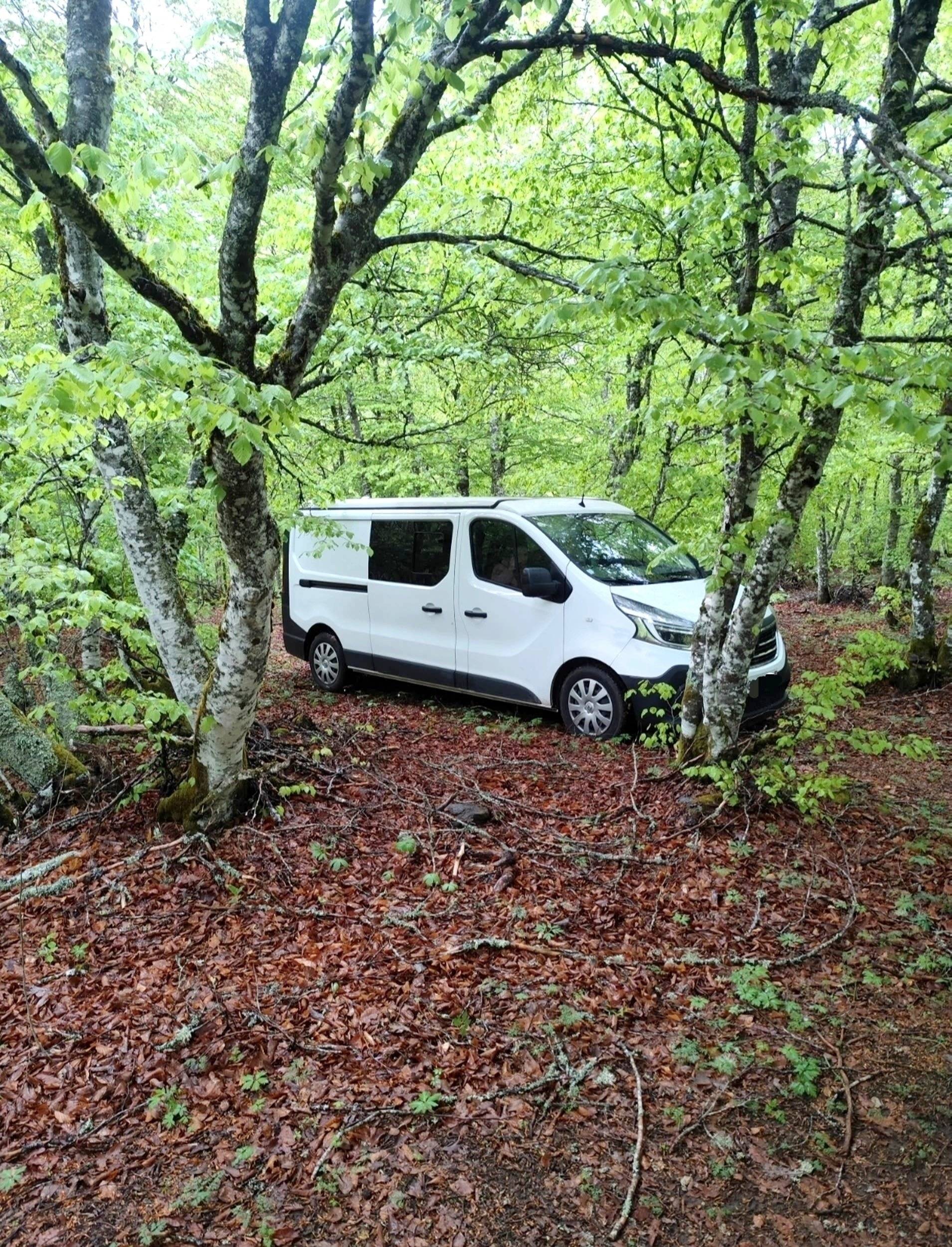 Renault Trafic L2-H1