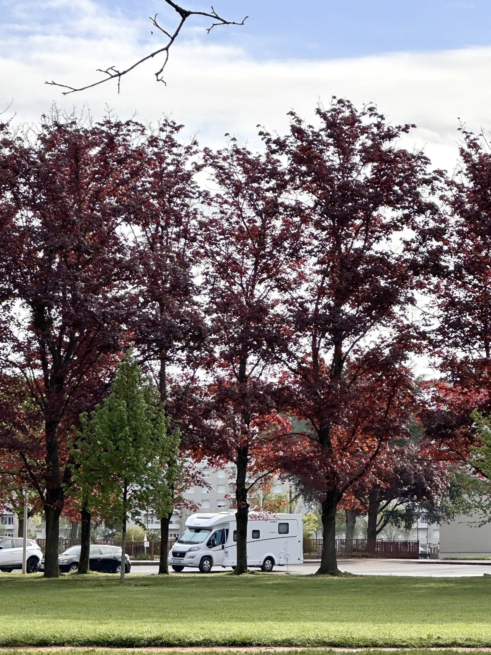 Dethleffs T 7057 Dbm