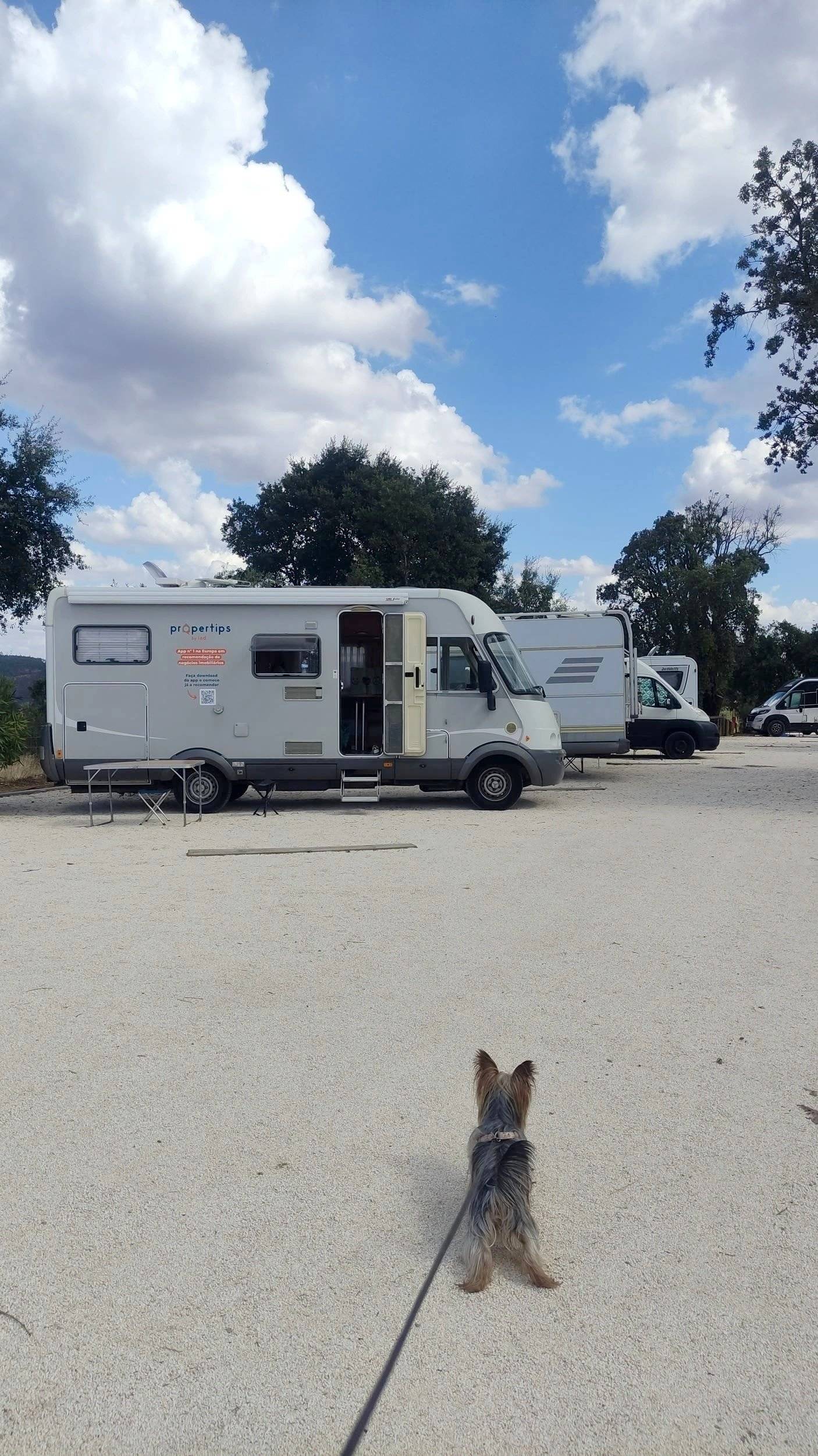 Hymer 630