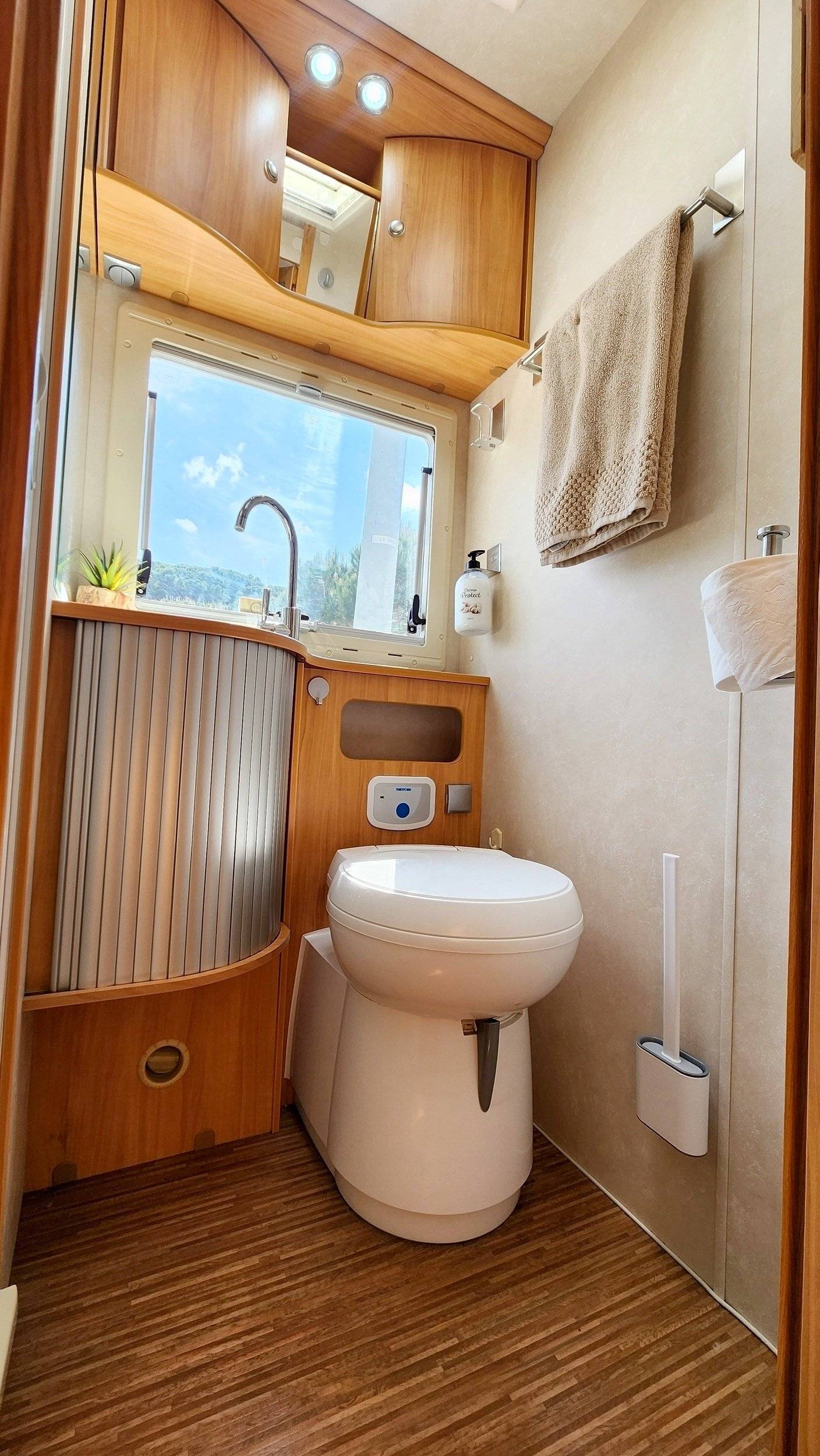 Adria Adria coral   sp660