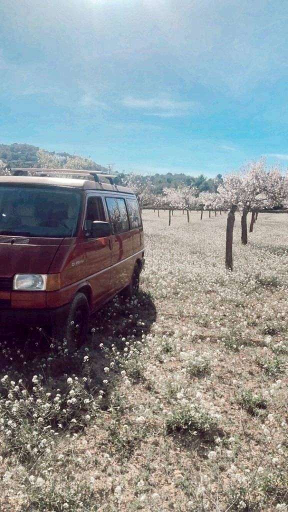 Volkswagen California