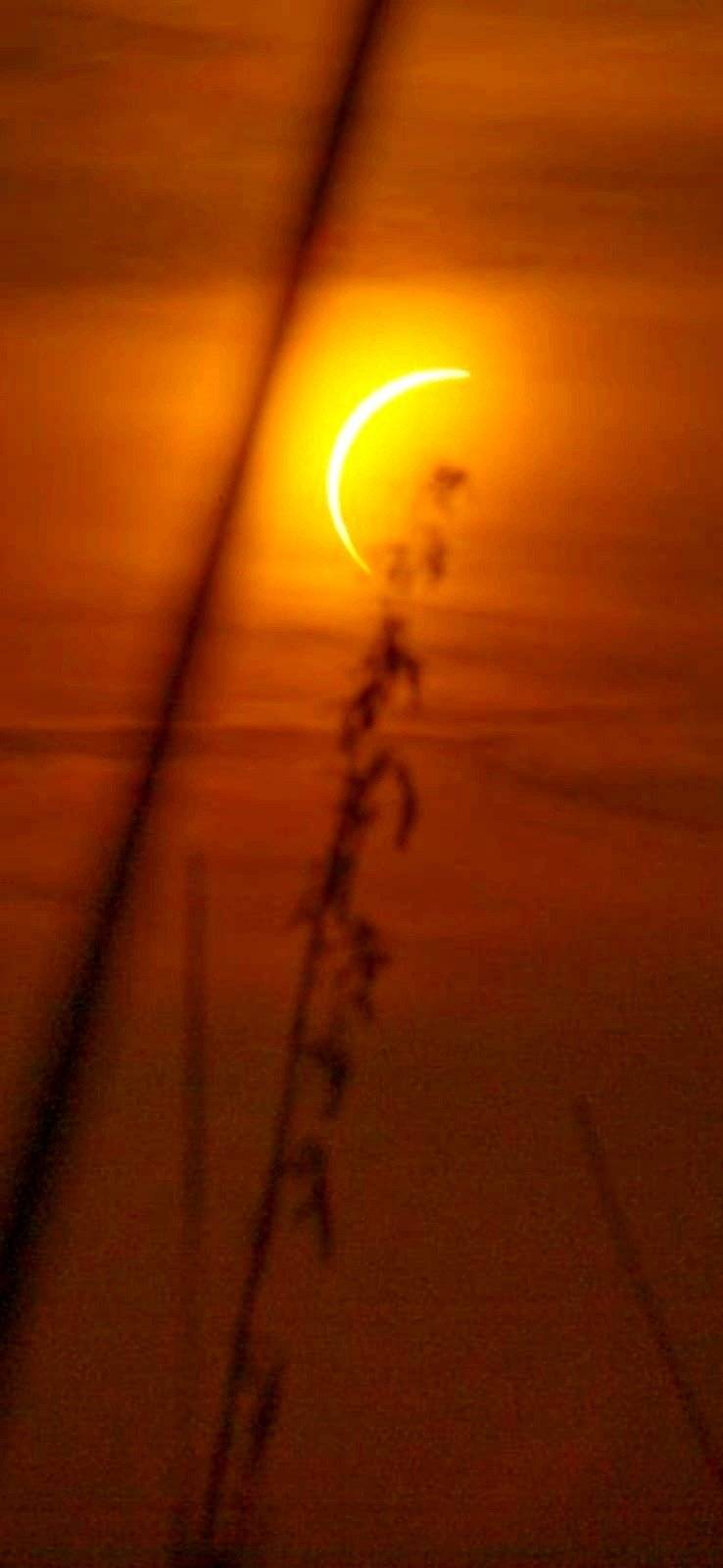 review photo thumbnail