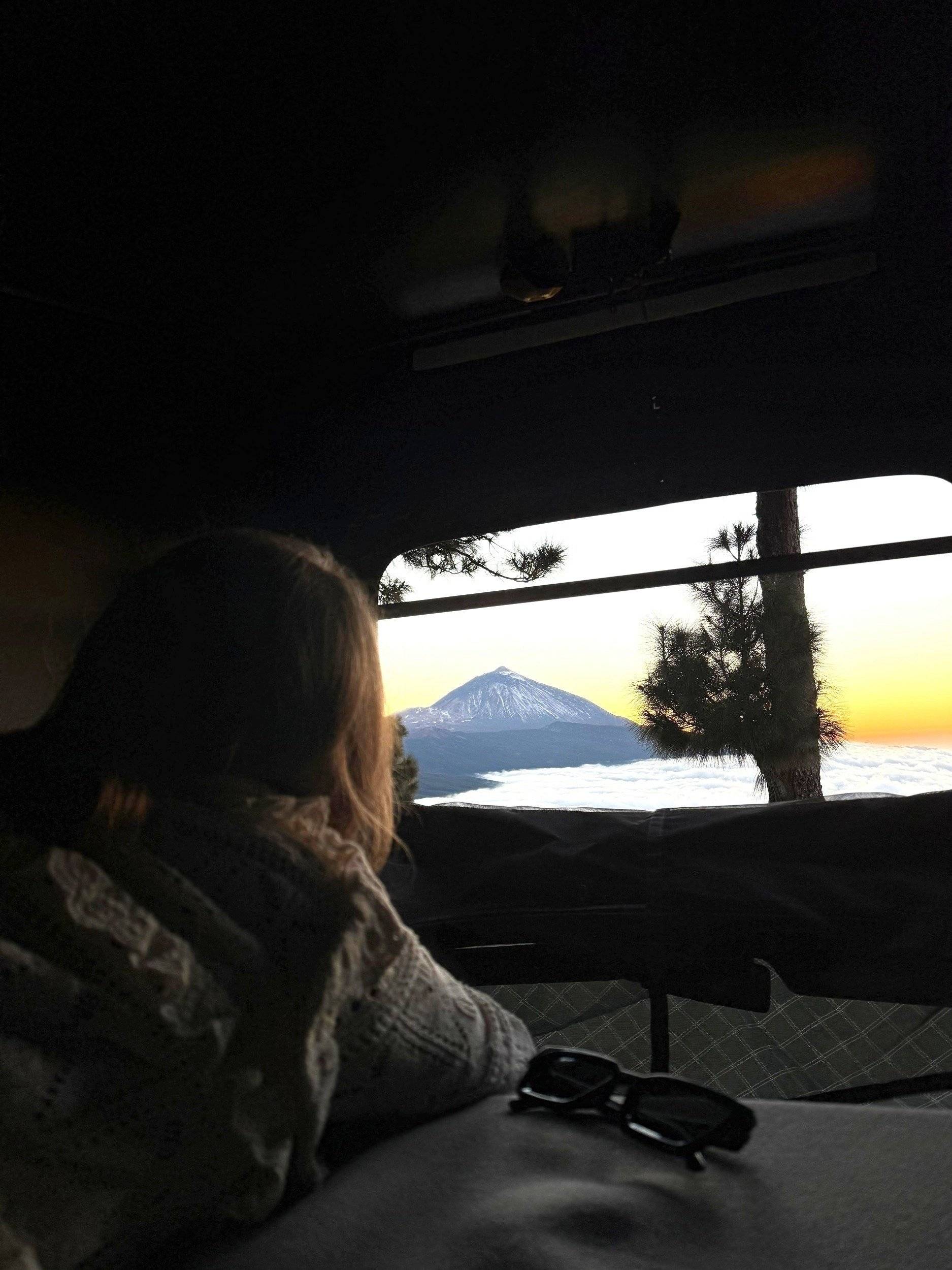 Volkswagen California t4 westfalia