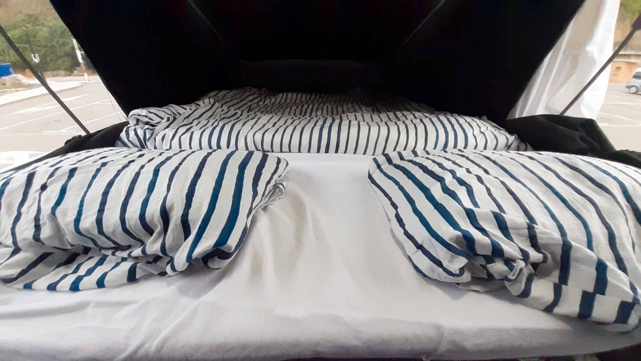 CITROEN PACIFIC/BRAHM TECNOLOGIES