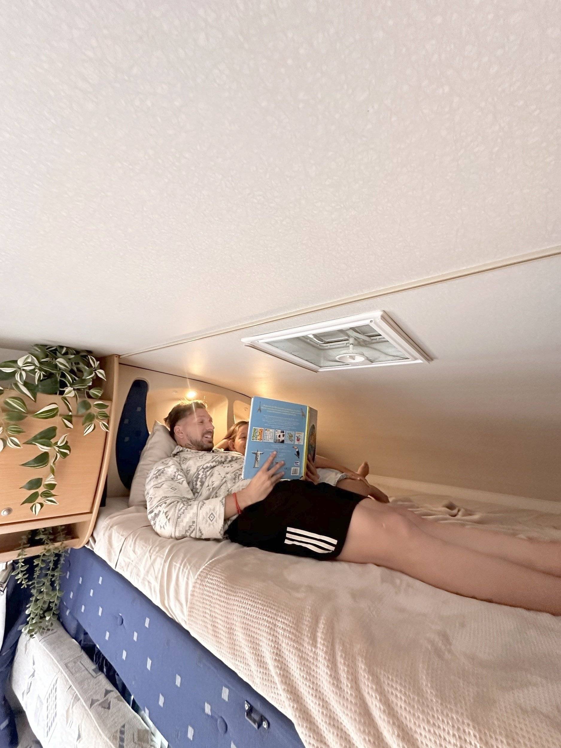 Mclouis McLouis Tandy