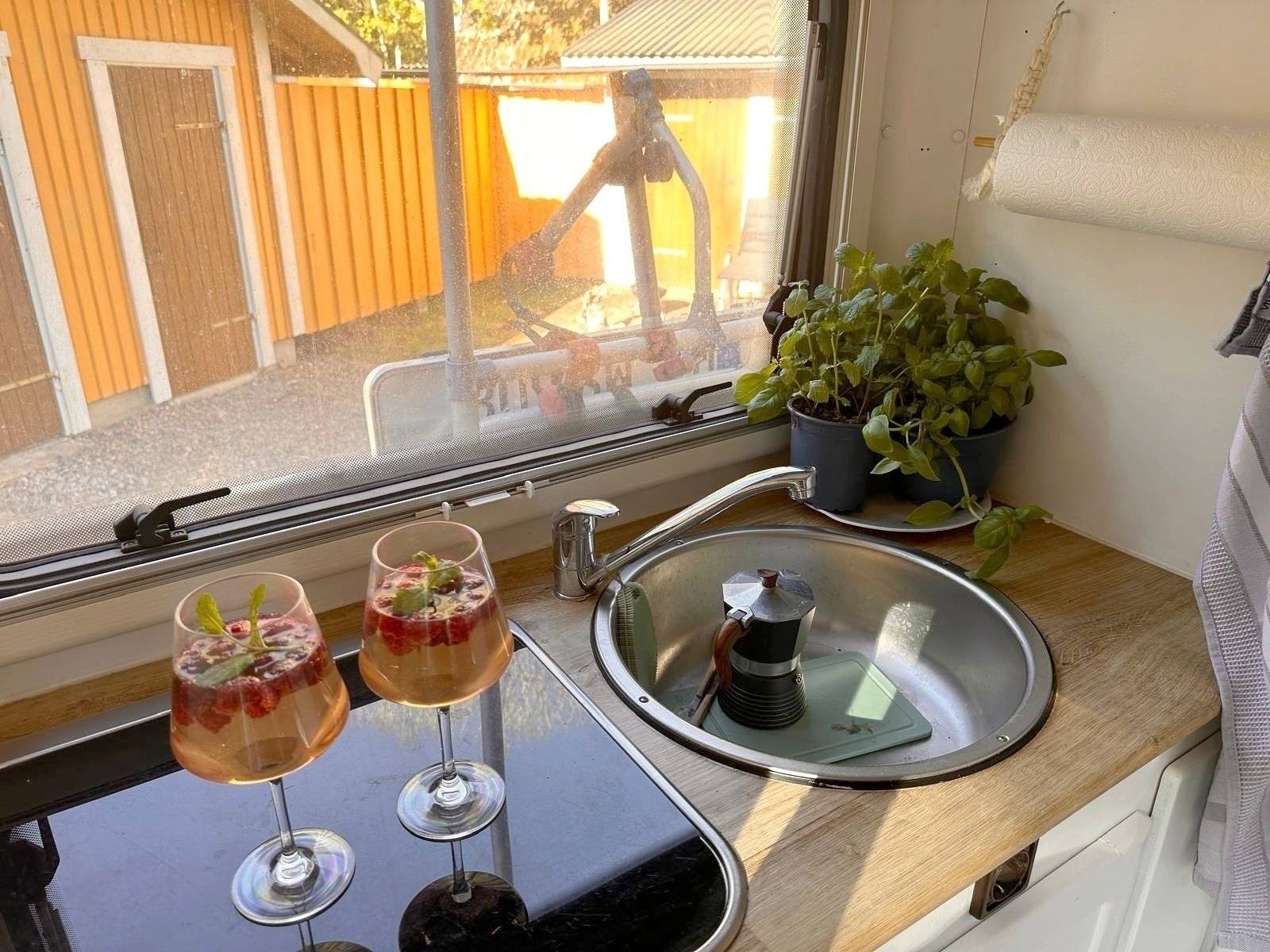 Ahorn Ahorn Camp 595