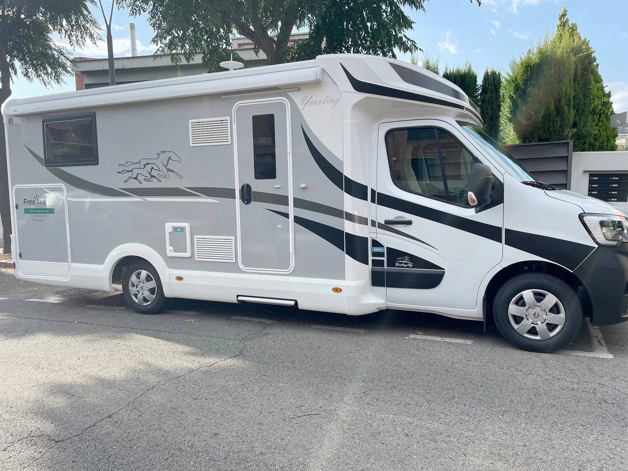 Mclouis Mclouis Yearling 83