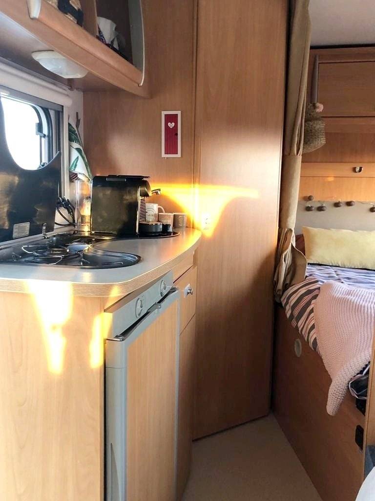 Challenger Genesis 36