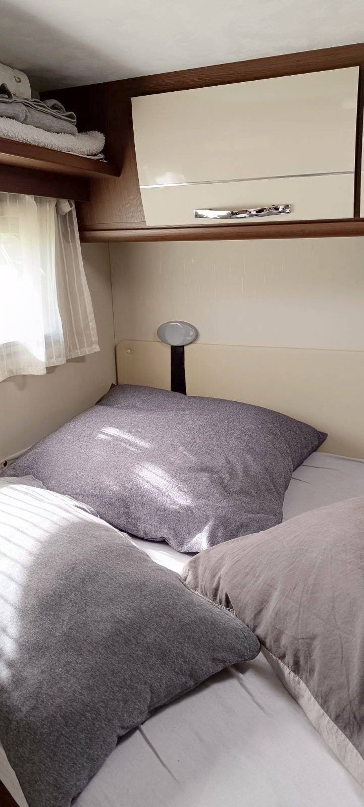 Roller Team ROLLER TEAM