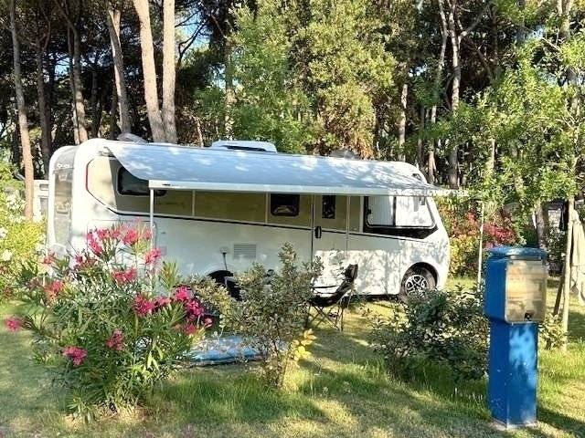 Dethleffs Dethleffs Globebus