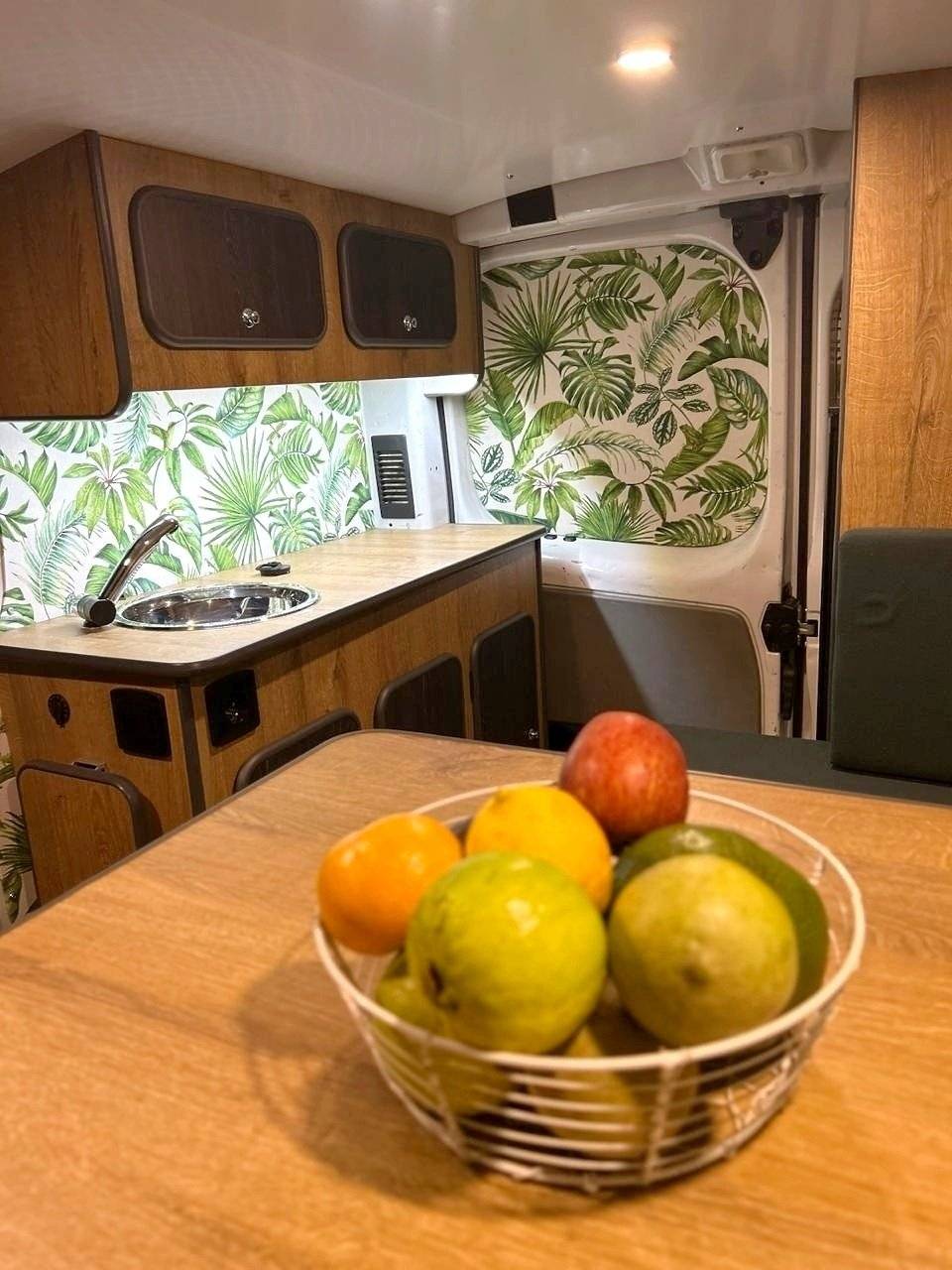 Renault TRAFFIC 2,0l 90 CH