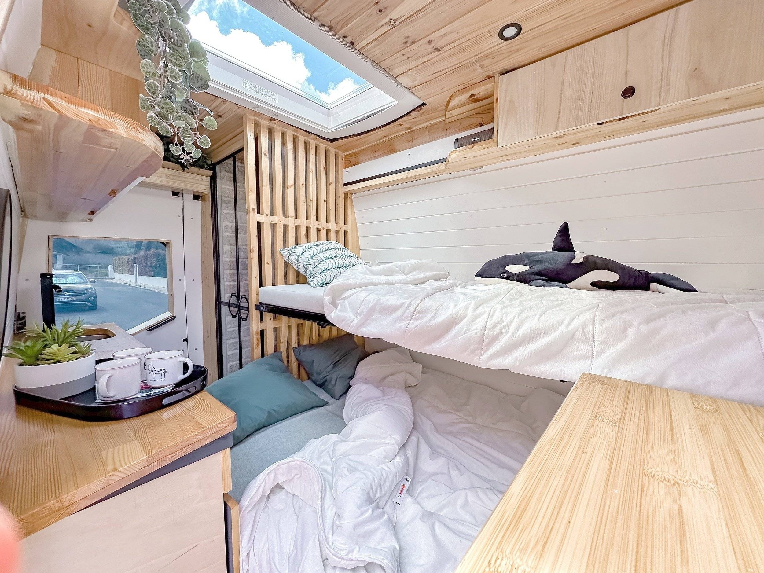 van.out Renault Master