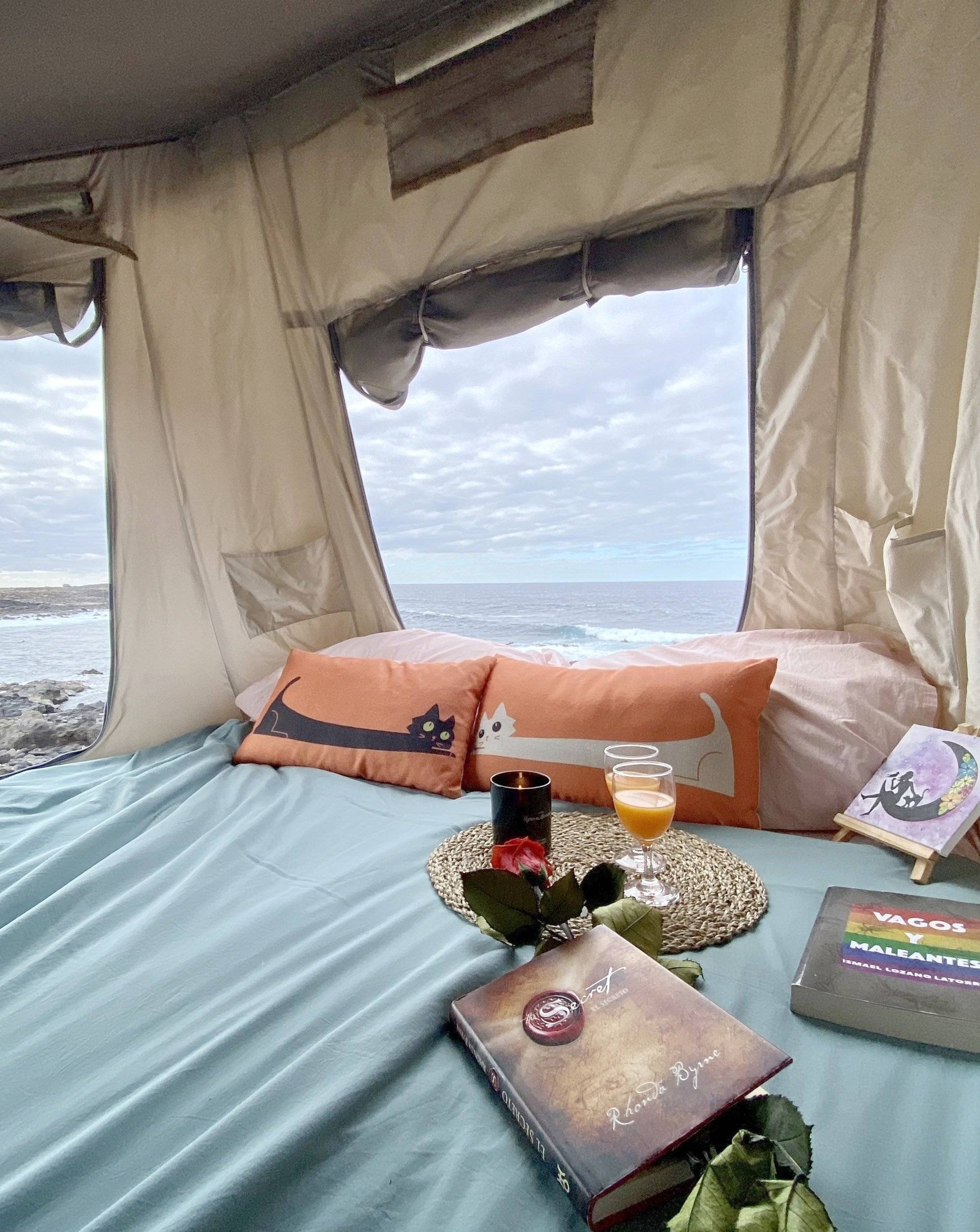 Volkswagen Volkswagen Transporter T5.1