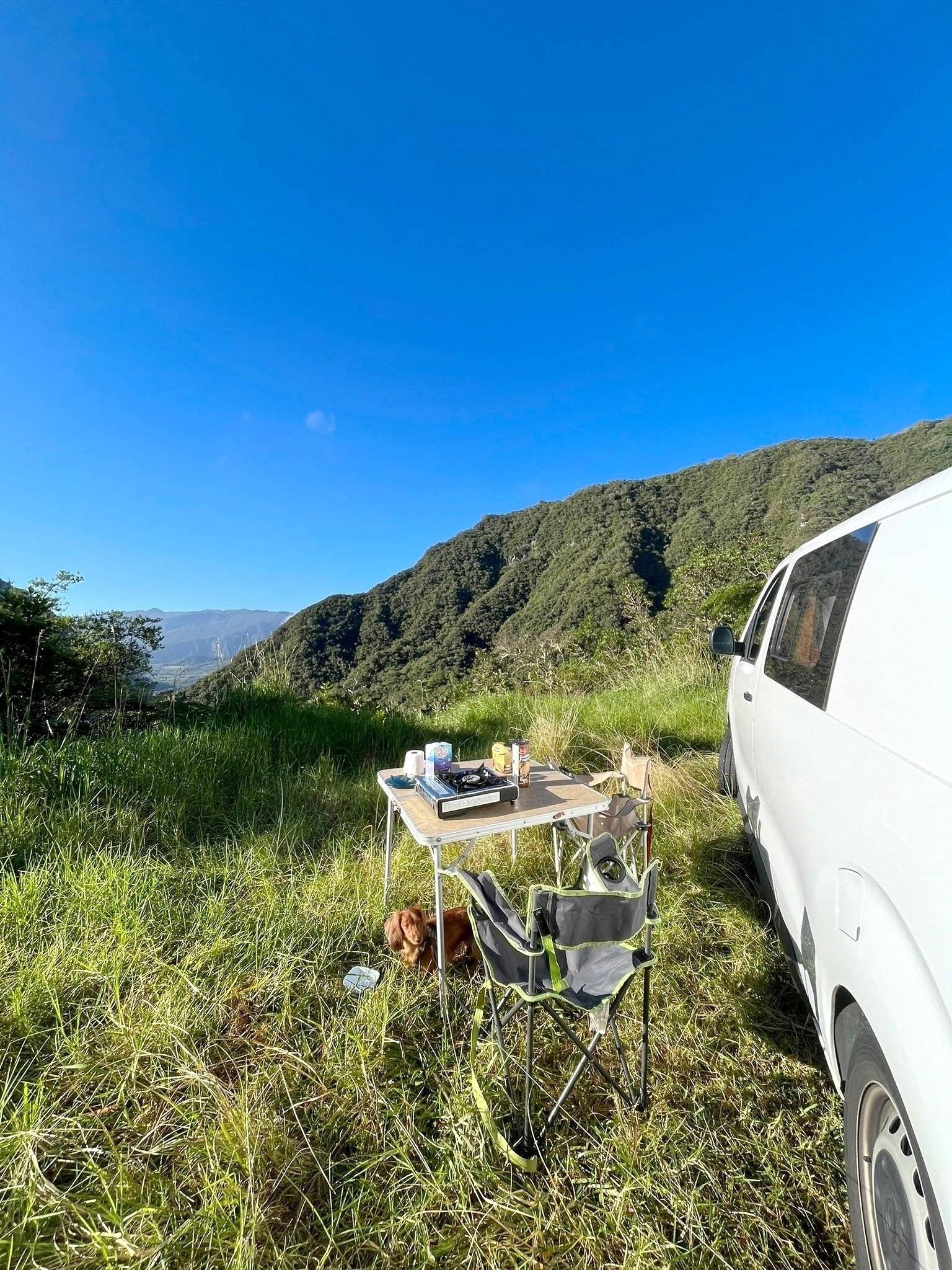 Ci Vivaro H1L2 1,6 l 120 ch