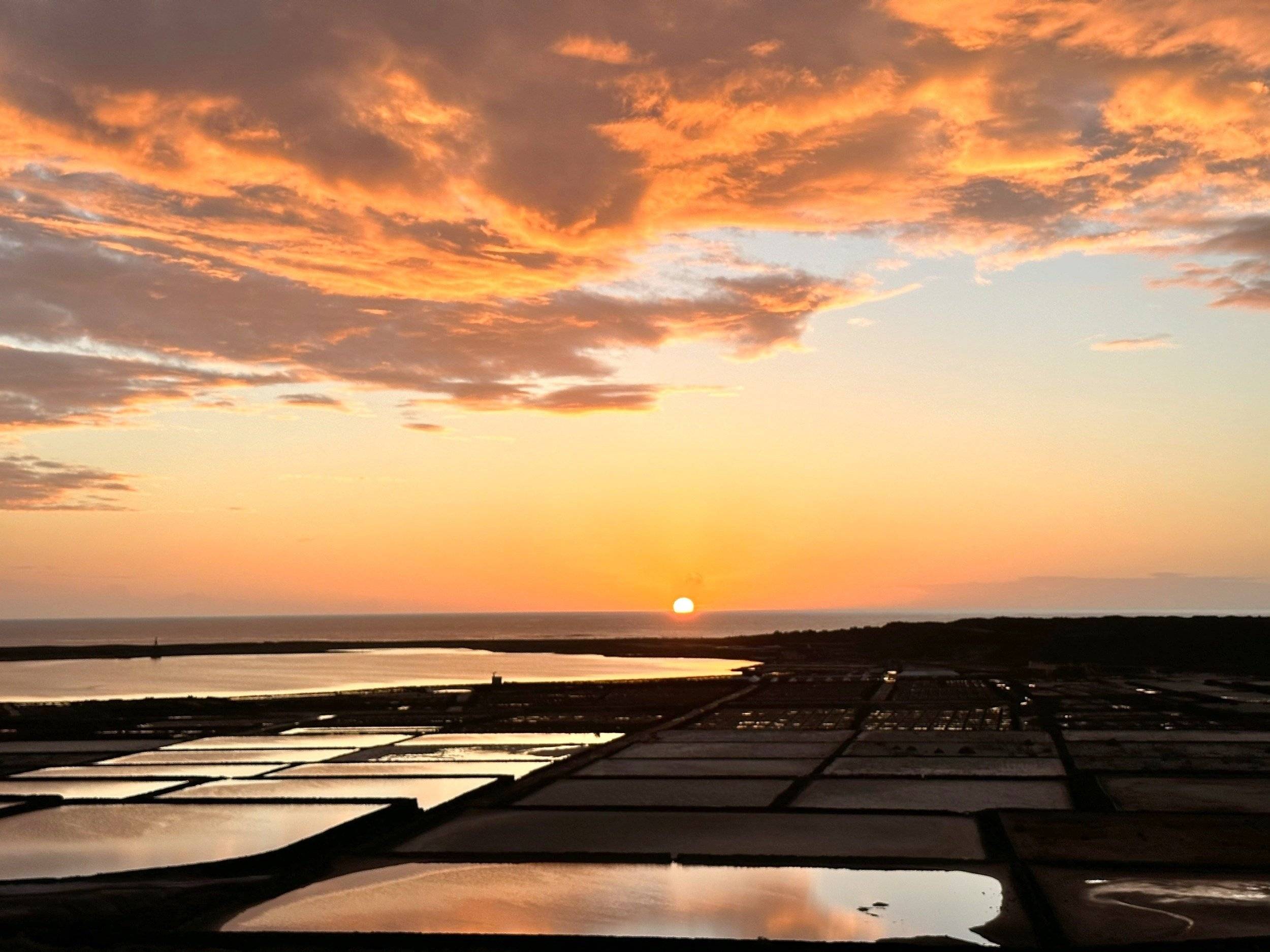 Mclouis McLouis Tandy