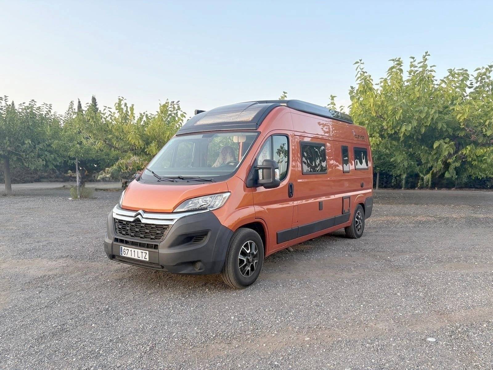 Clever Clever Celebration 600