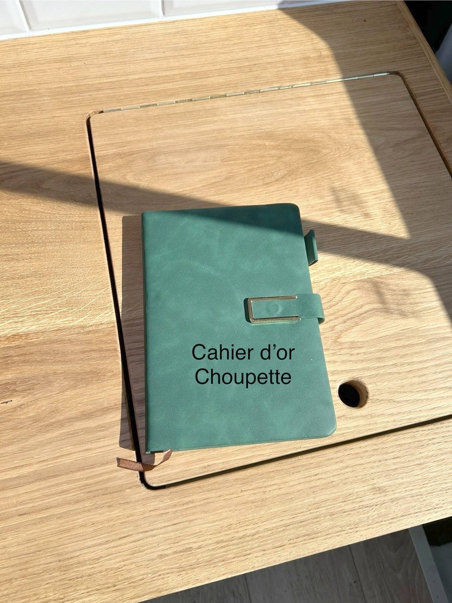 Renault Trafic 1,6 l 115 ch