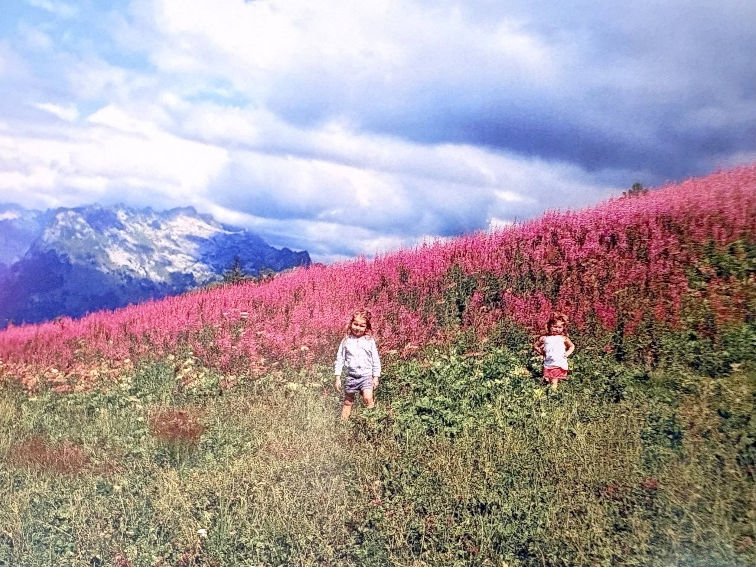 Campérêve Familyvan