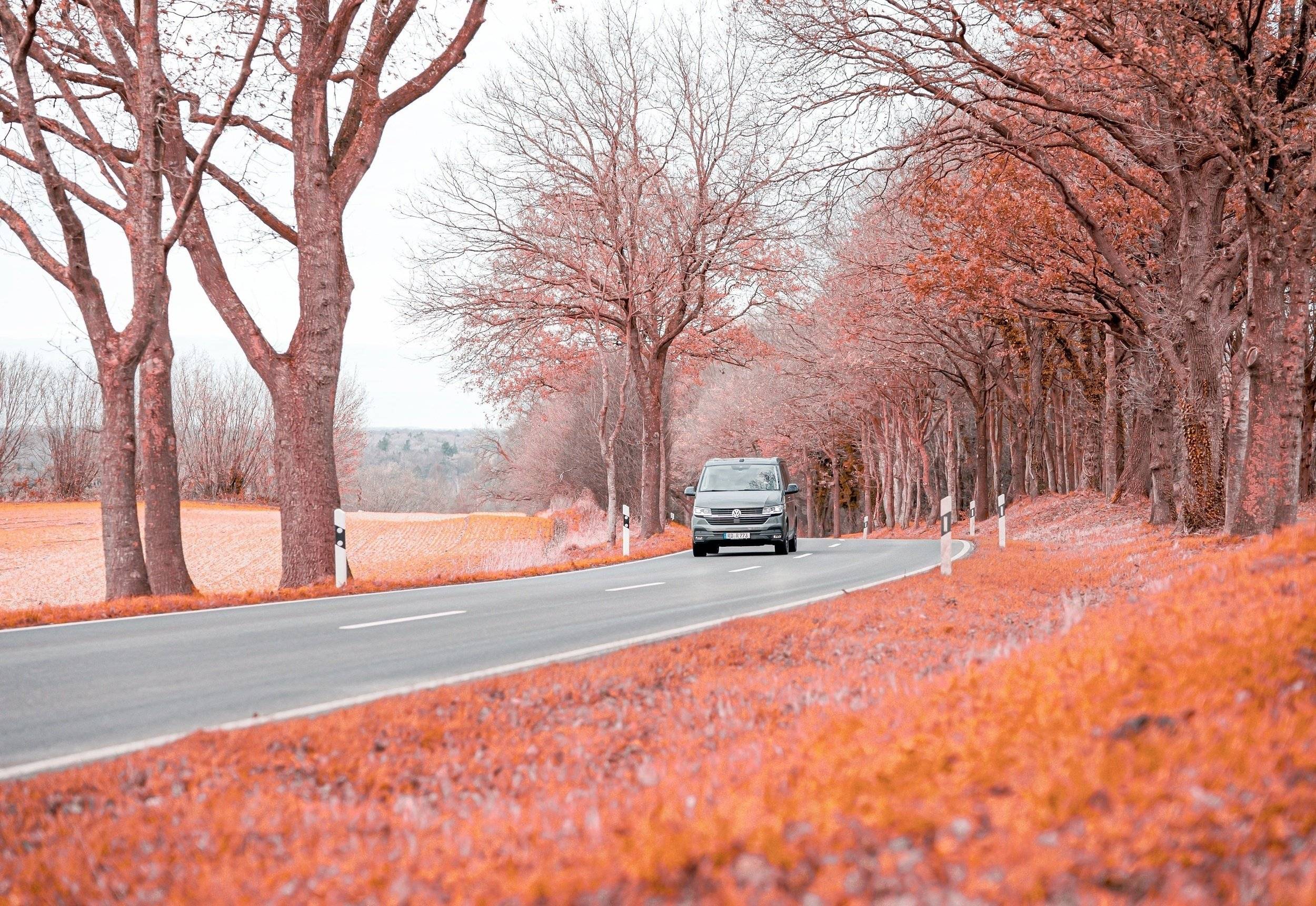 Volkswagen Volkswagen T6.1 California OCEAN