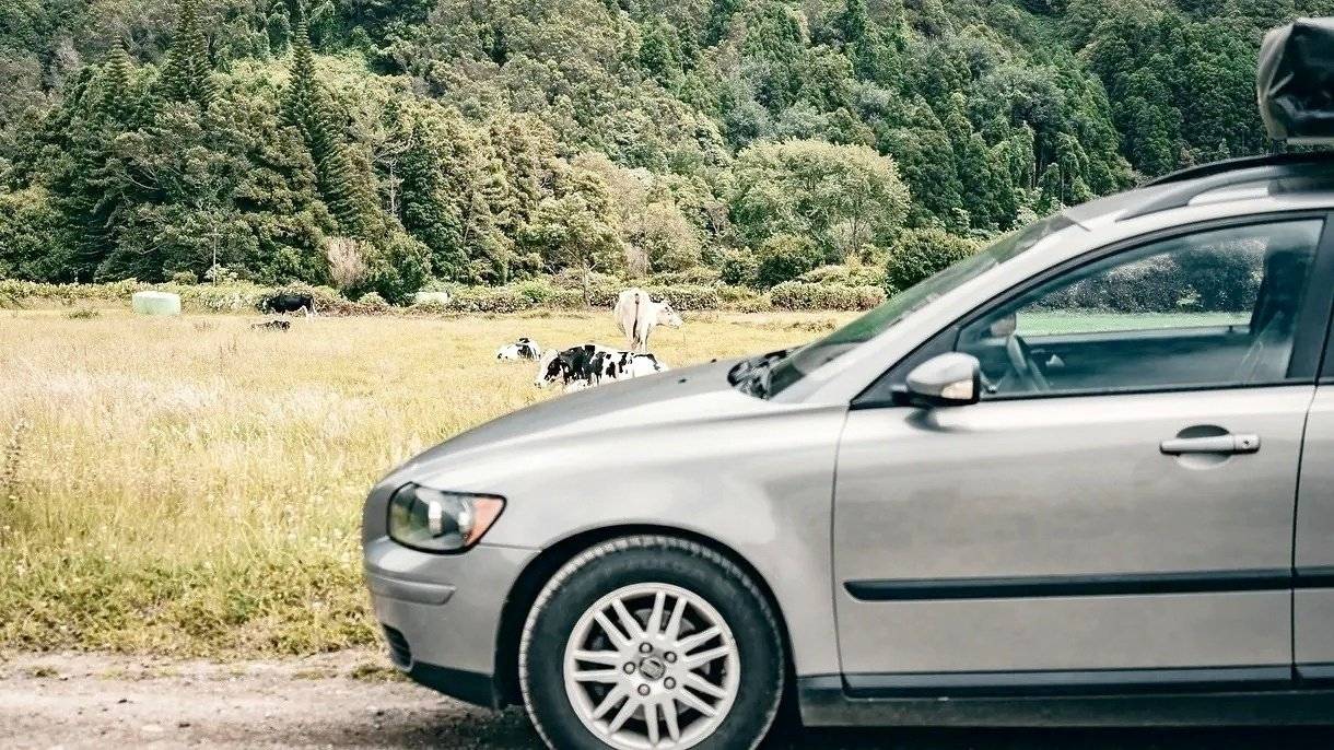 Raptor 4x4 Soft Tent 2006