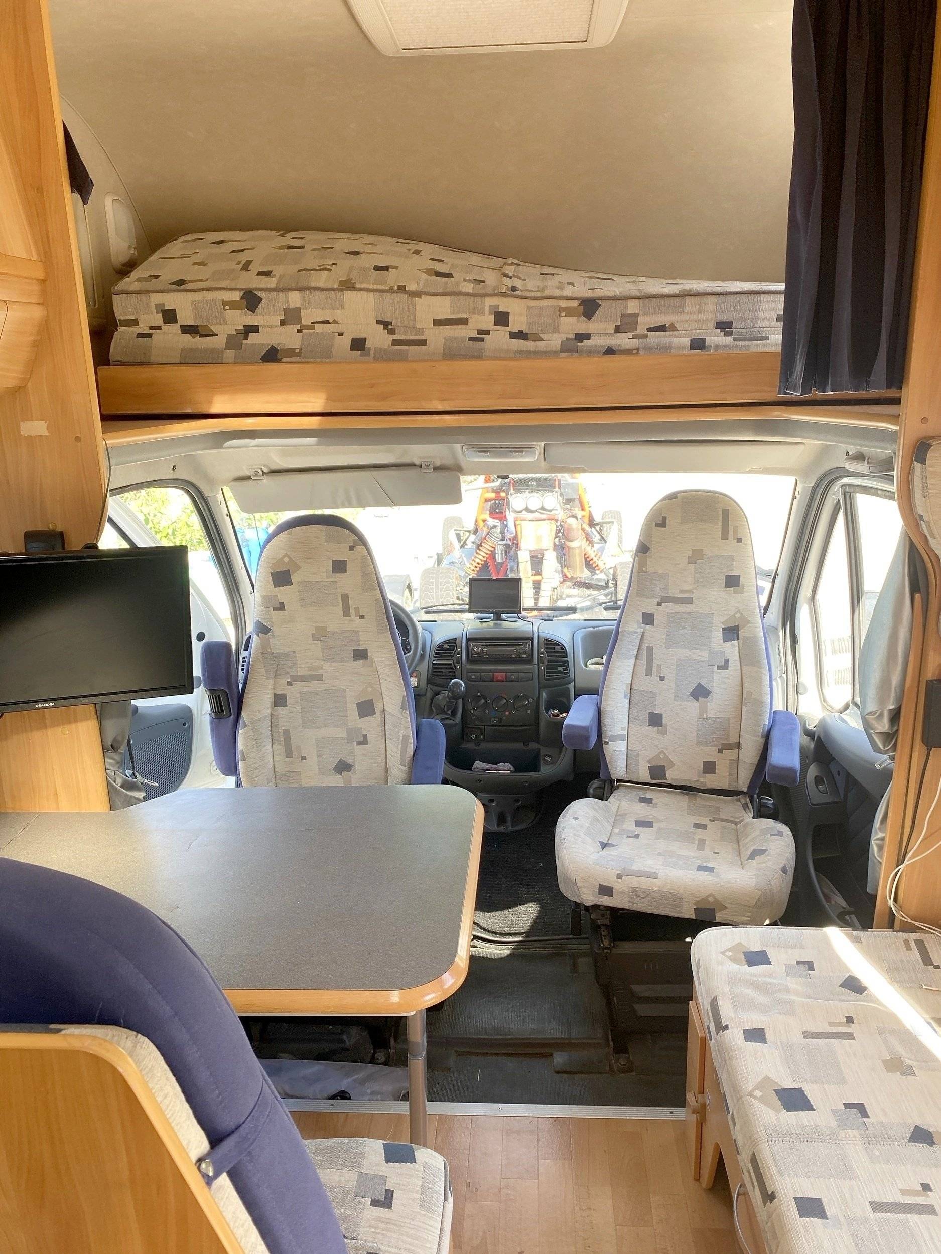 Adria Adria coral   sp660