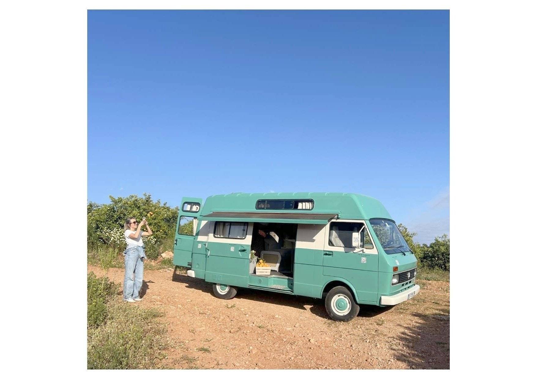 Westfalia LT31