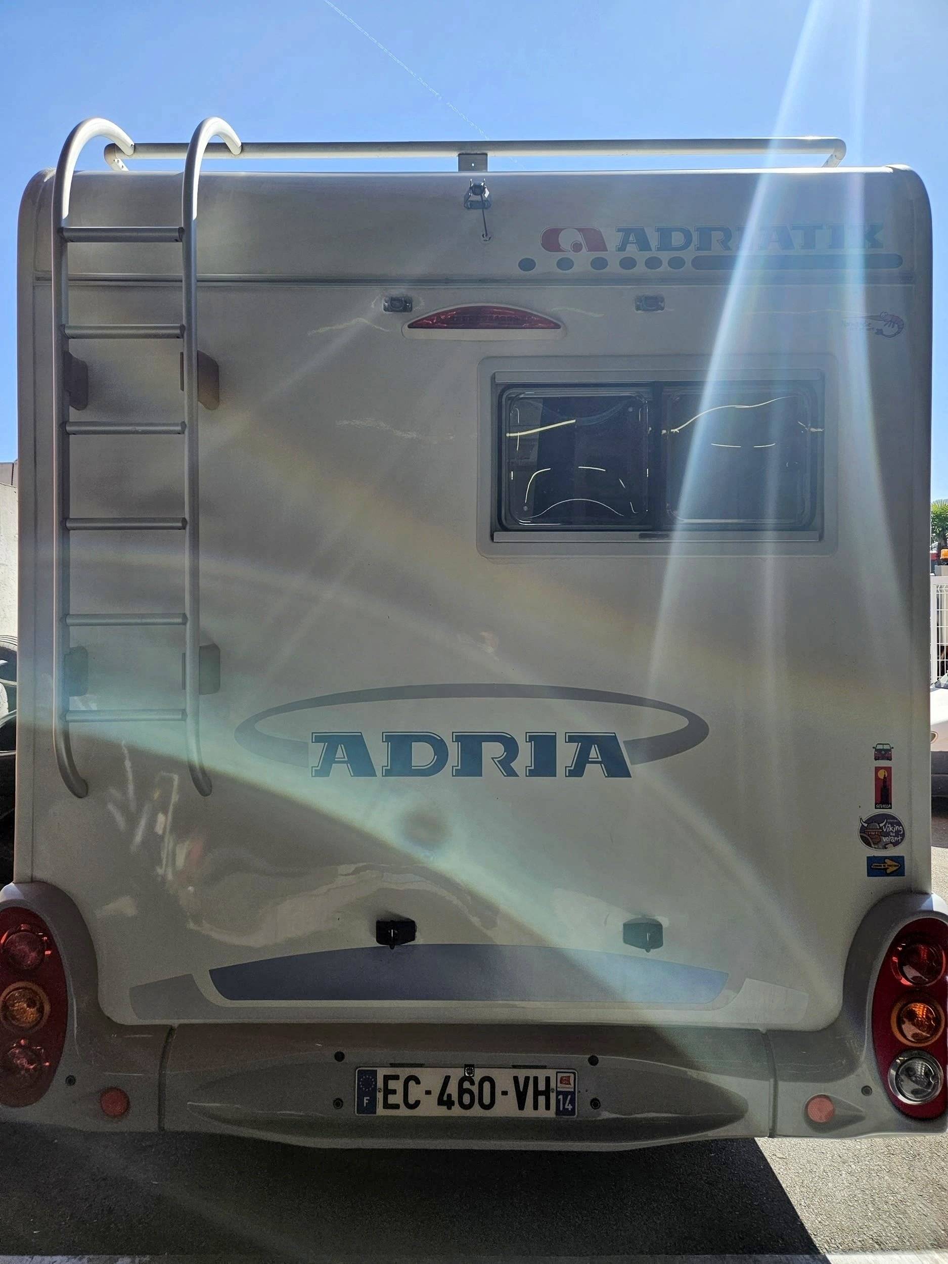 Adria Adria coral   sp660