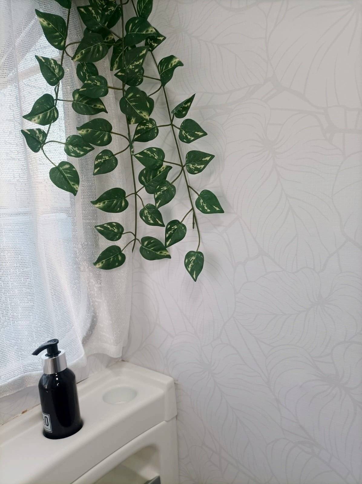 Roller Team Roller team 2