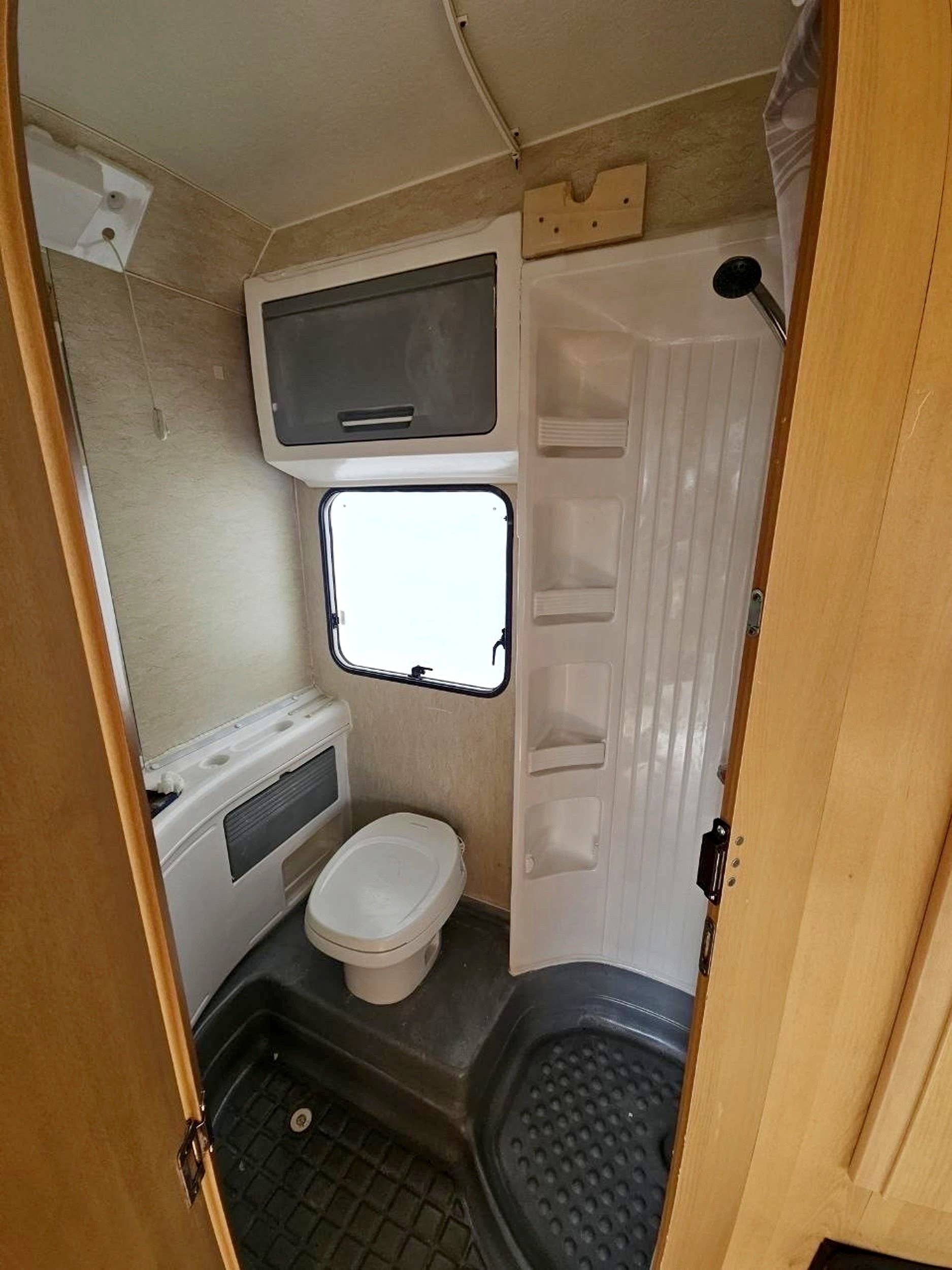 Adria Adria coral   sp660