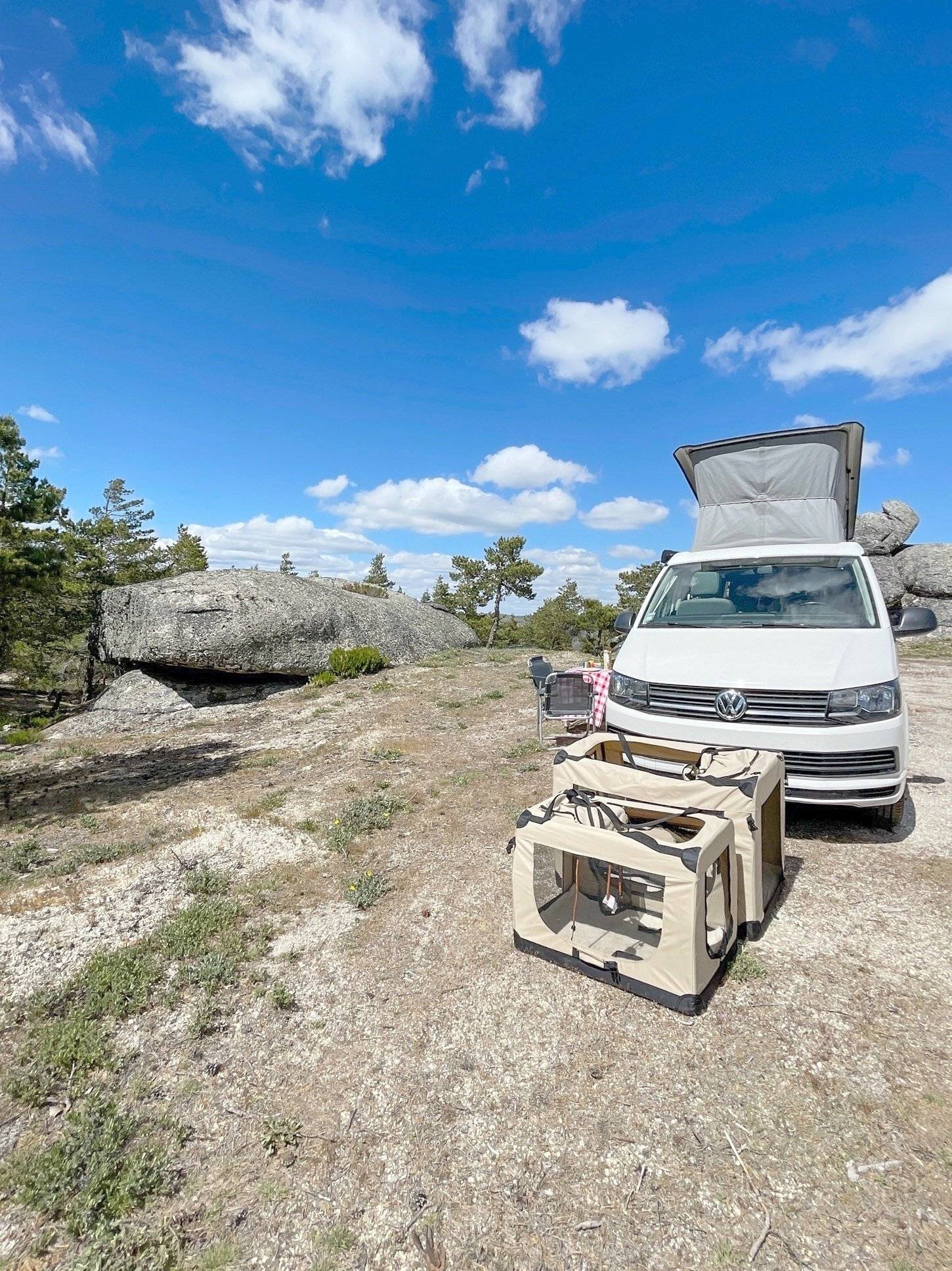 Volkswagen Volkswagen california coast