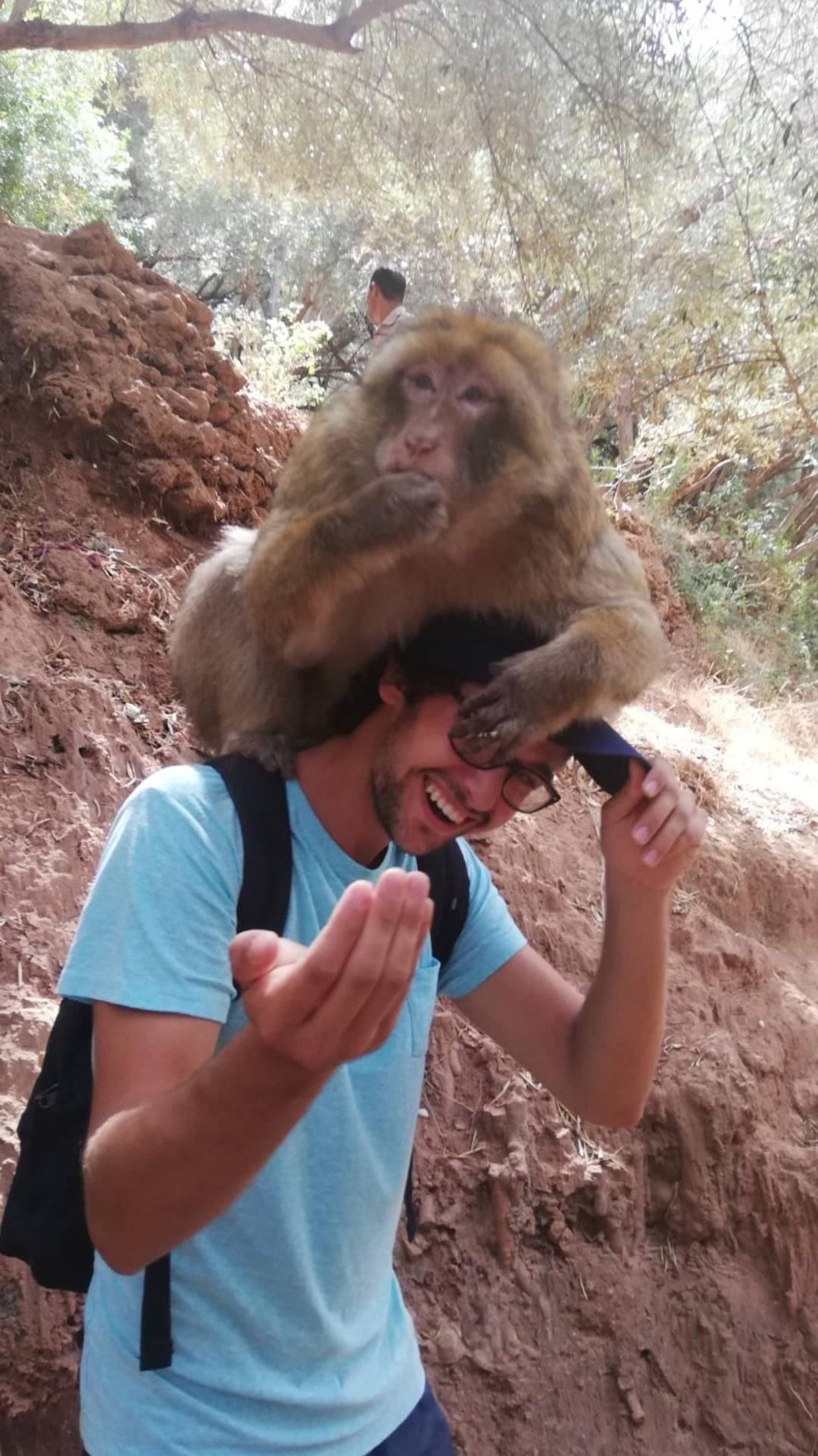 Miquel