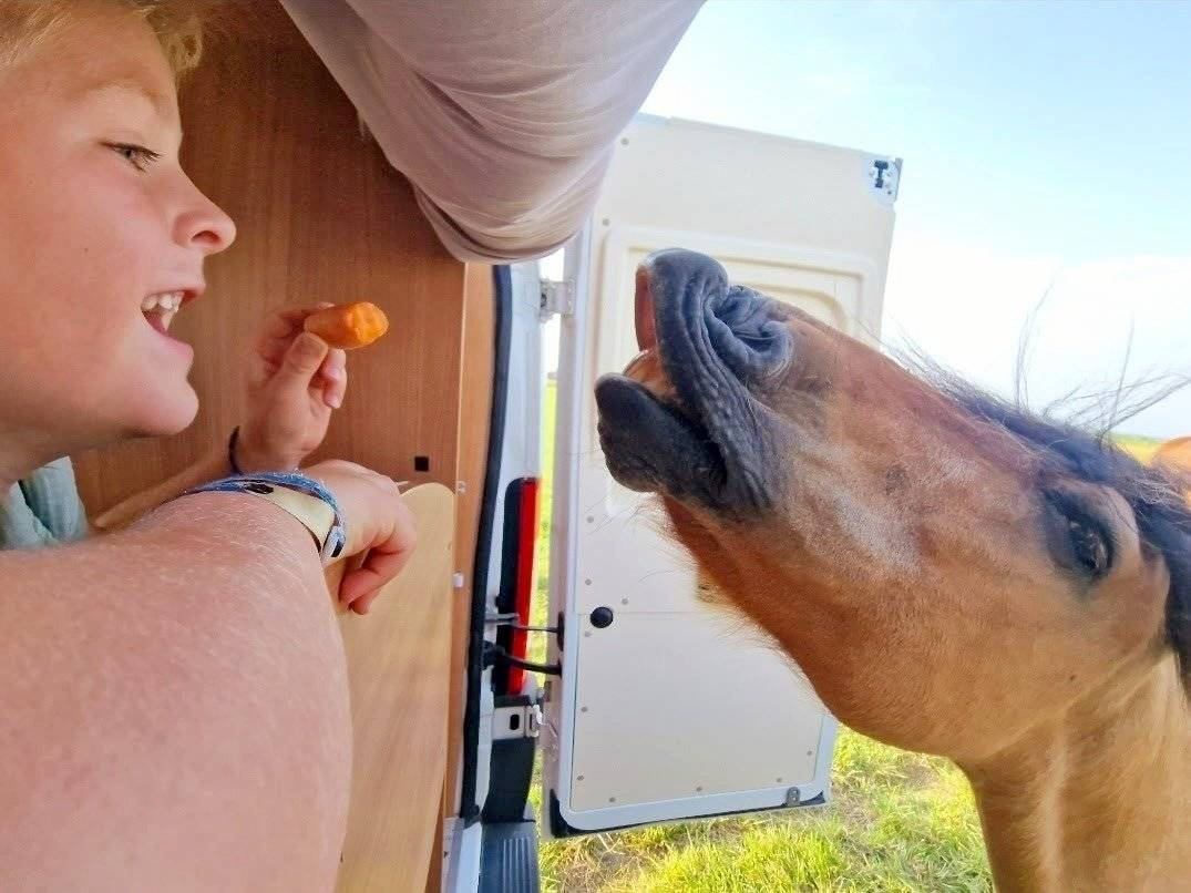 Campérêve Fiat ducato