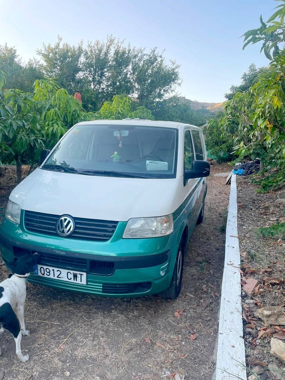 Volkswagen Volkswagen transporte