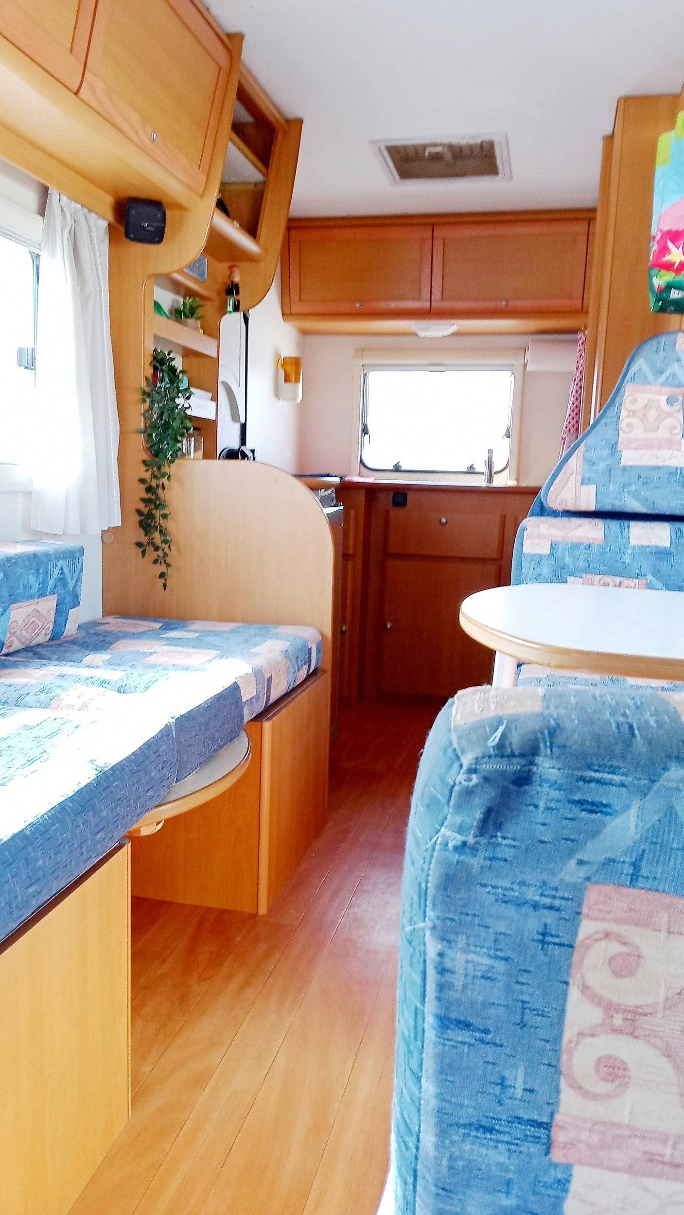 C.I. C.I. carioca 20