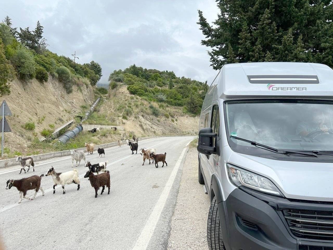 Dreamer Family Van Select Rapido