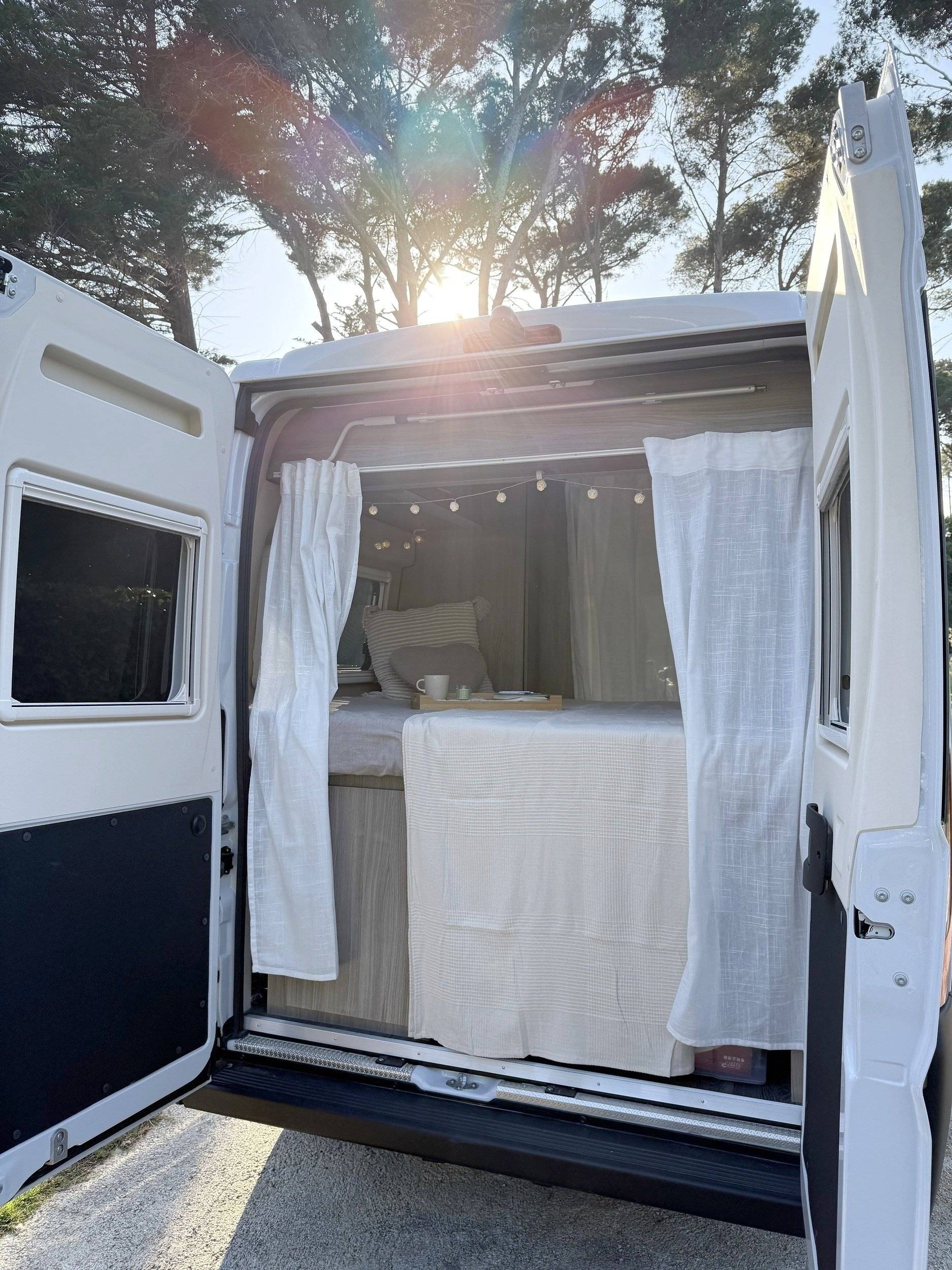 Randger Randger R 602