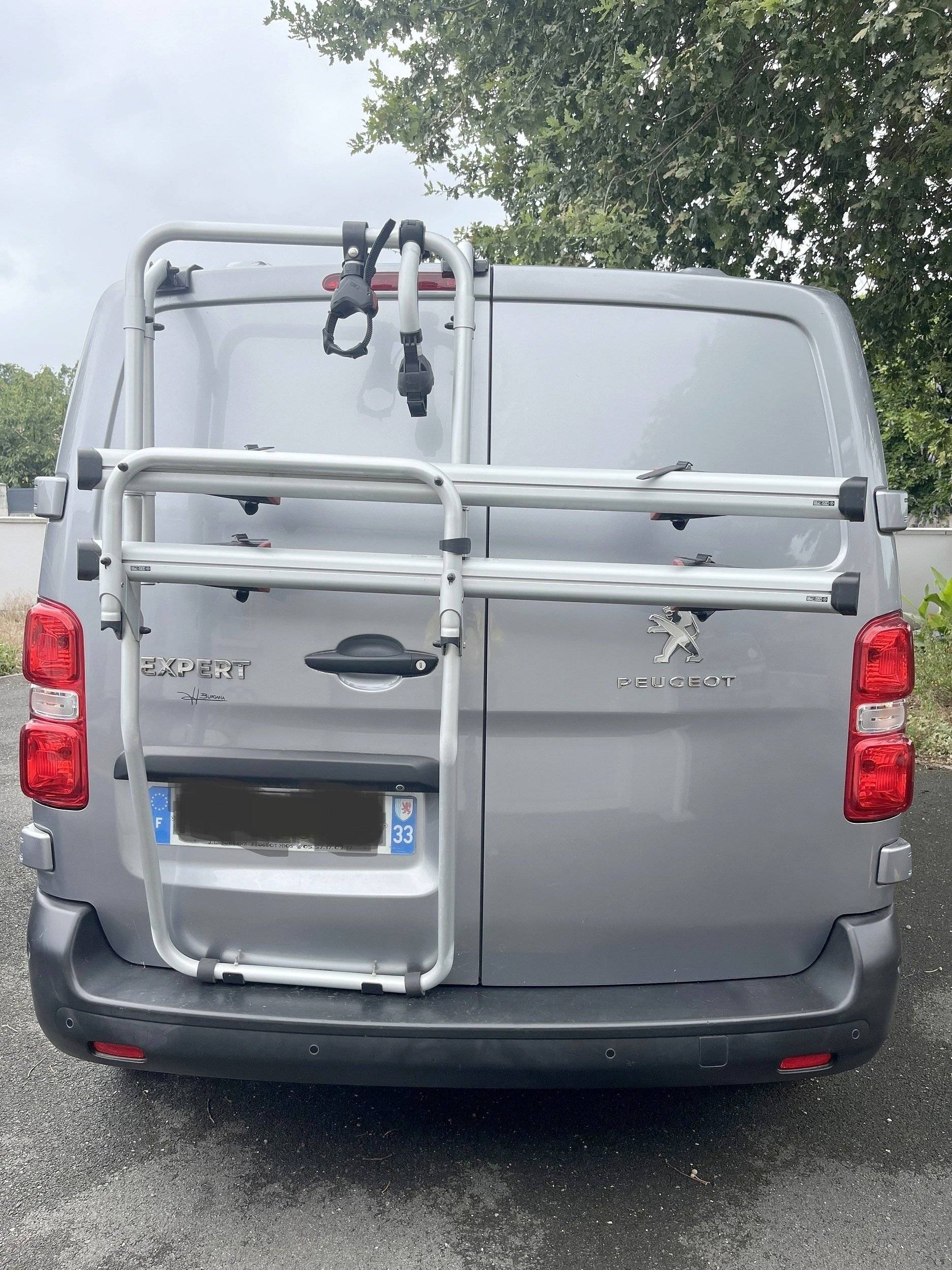 Camp In Van Peugeot expert Standard